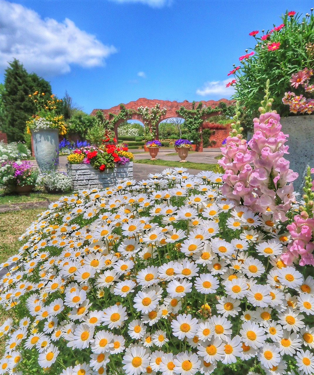 フラワーミュージアム