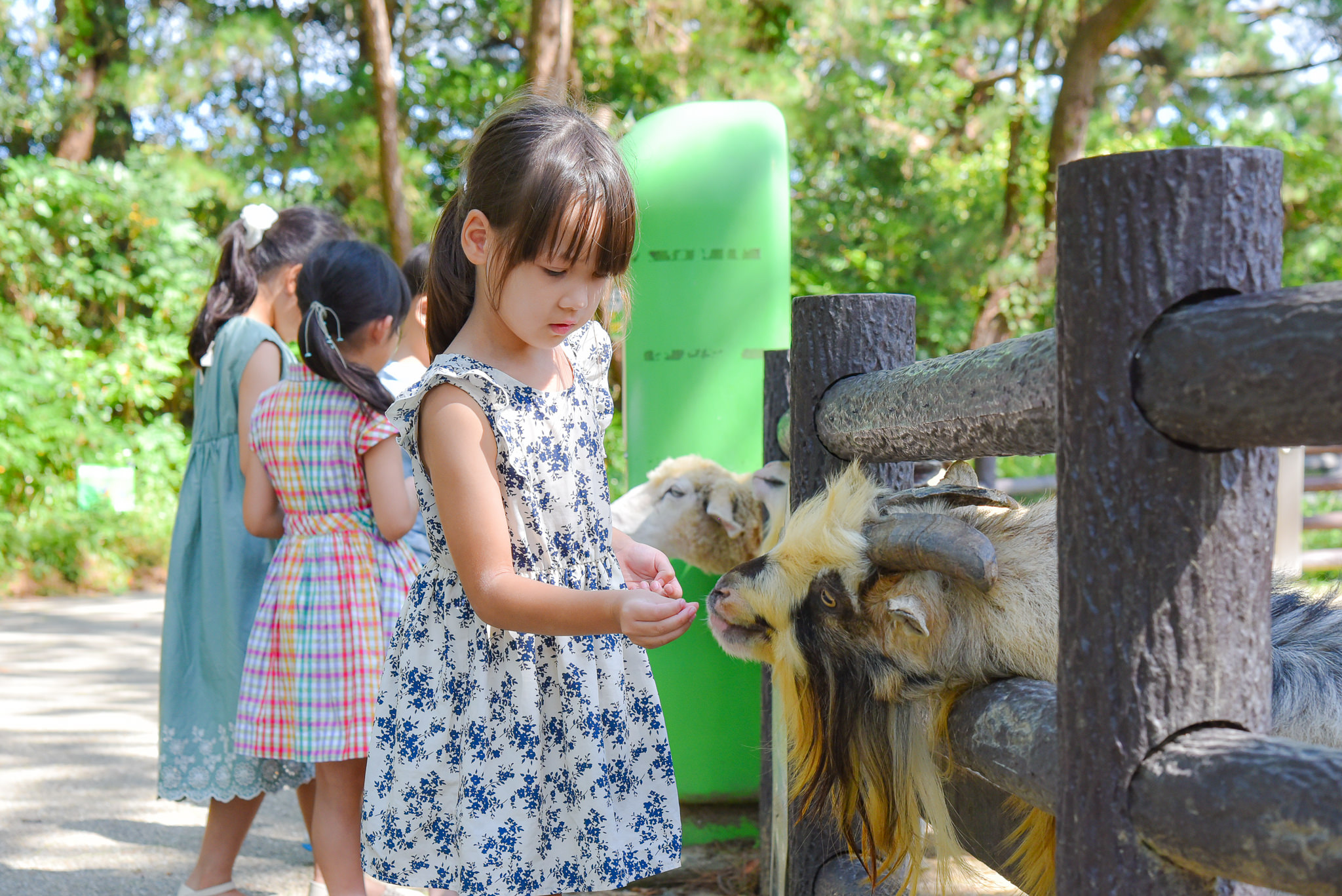 動物へのエサやり体験