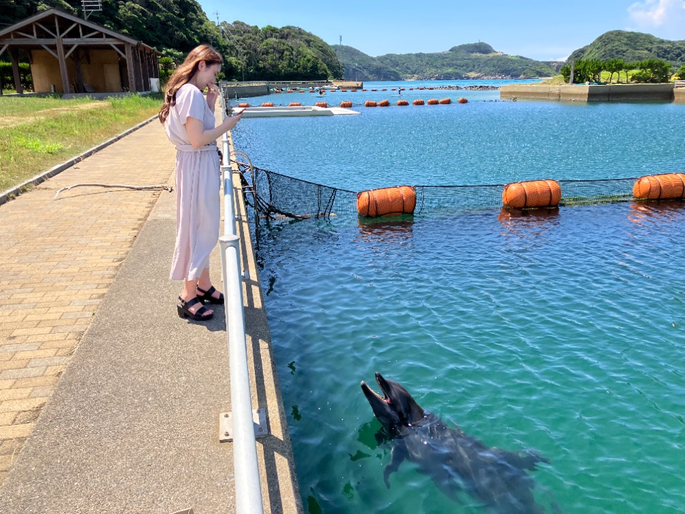 イルカパーク＆リゾート