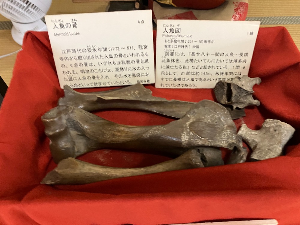 人魚の骨