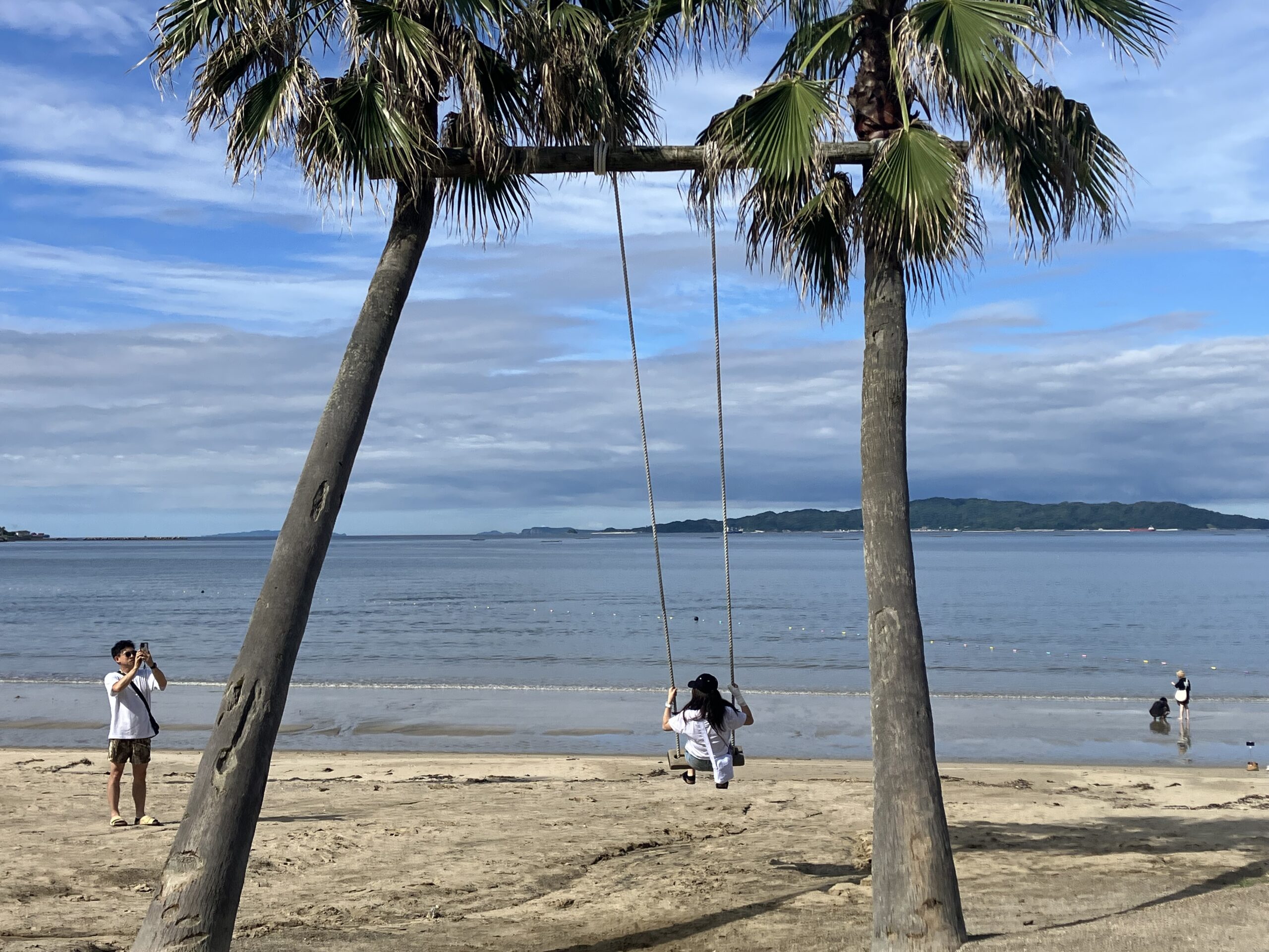 椰子の木ブランコ