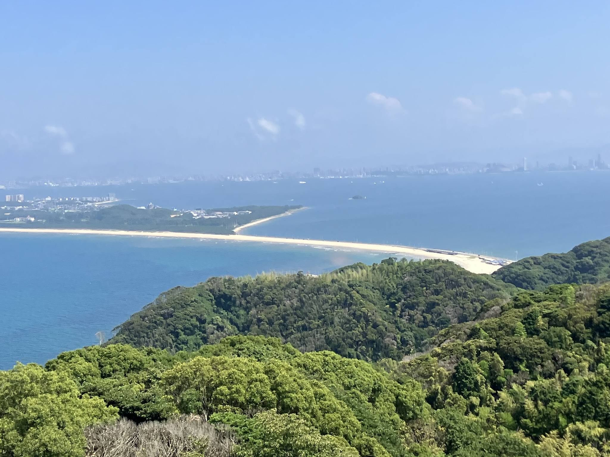 展望台から
