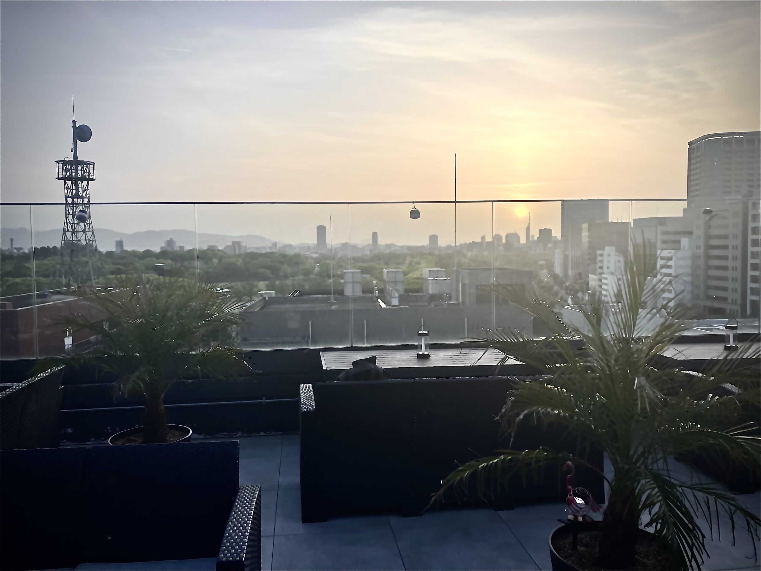 ロフト席の絶景