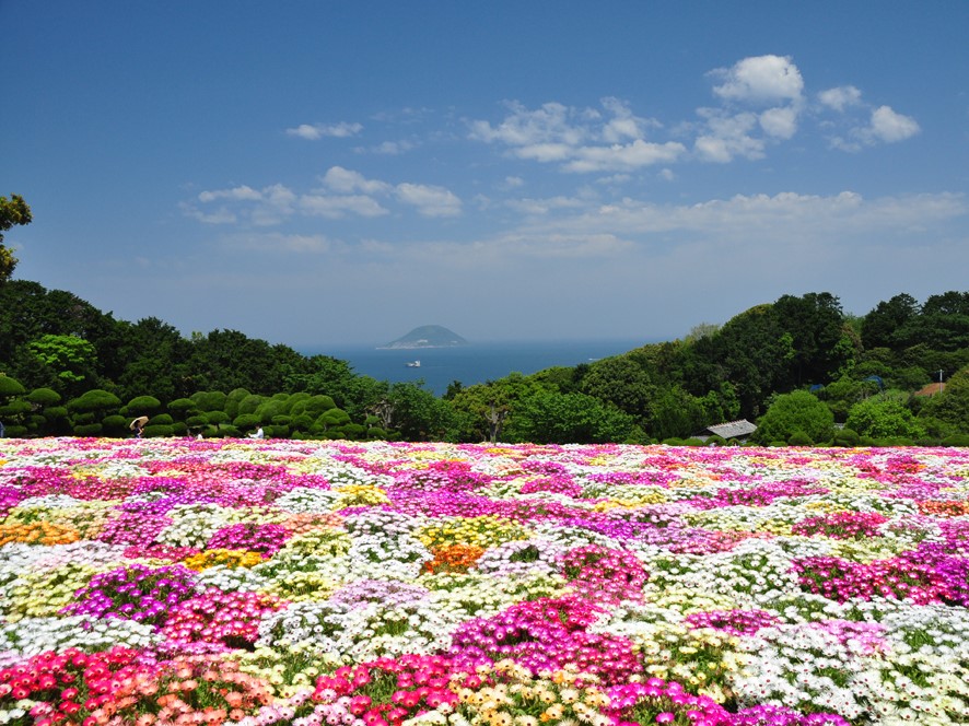 のこのしまアイランドパーク