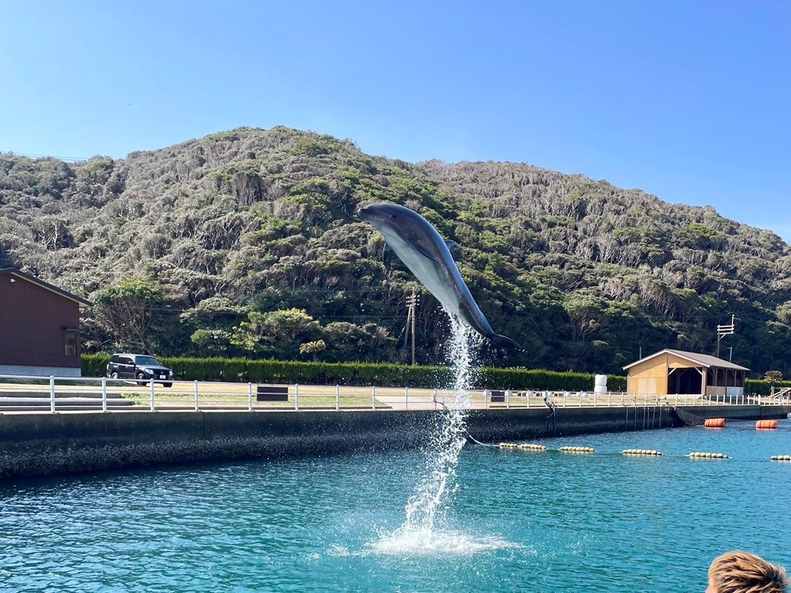 イルカパーク＆リゾート
