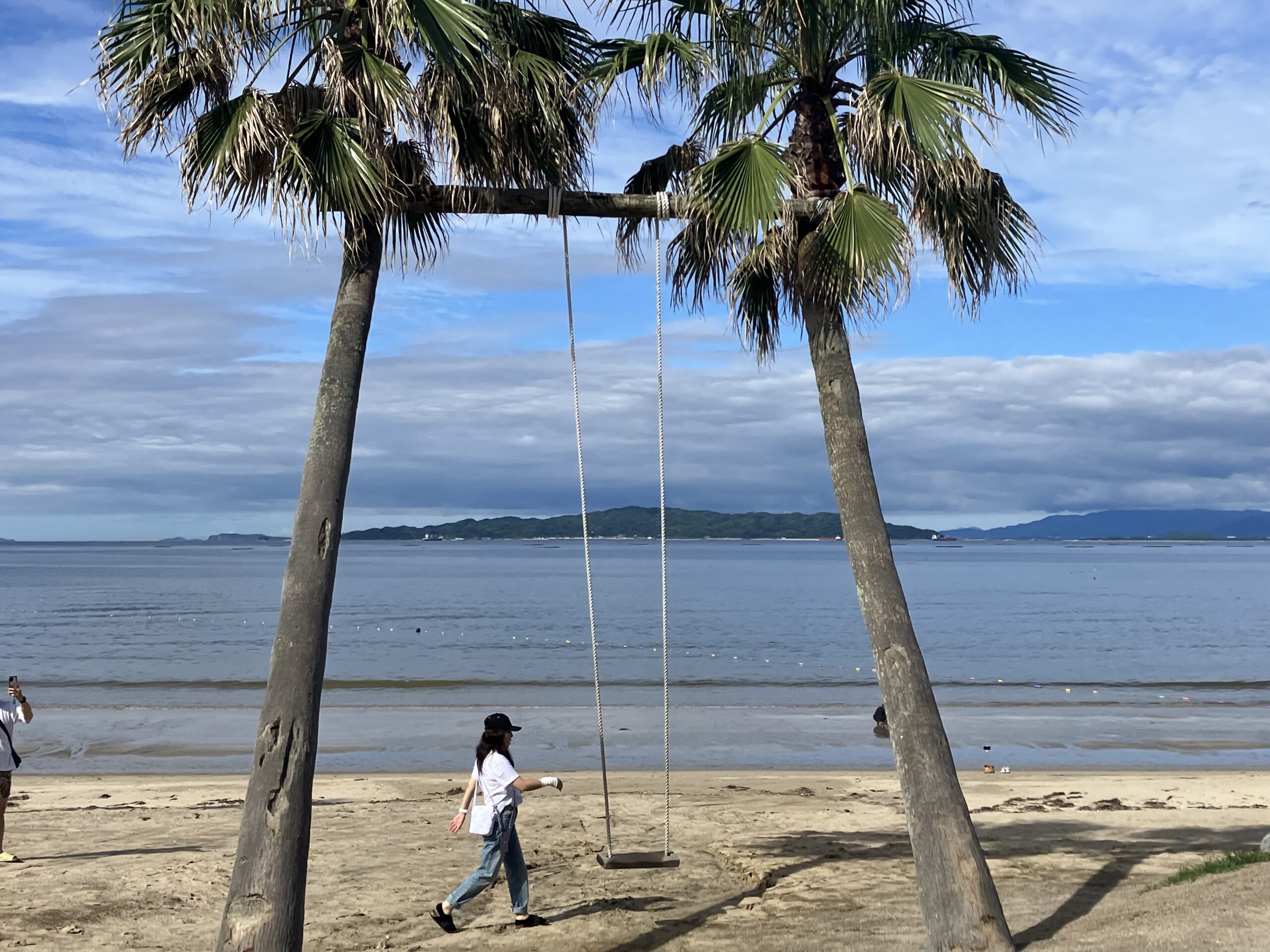 椰子の木ブランコ