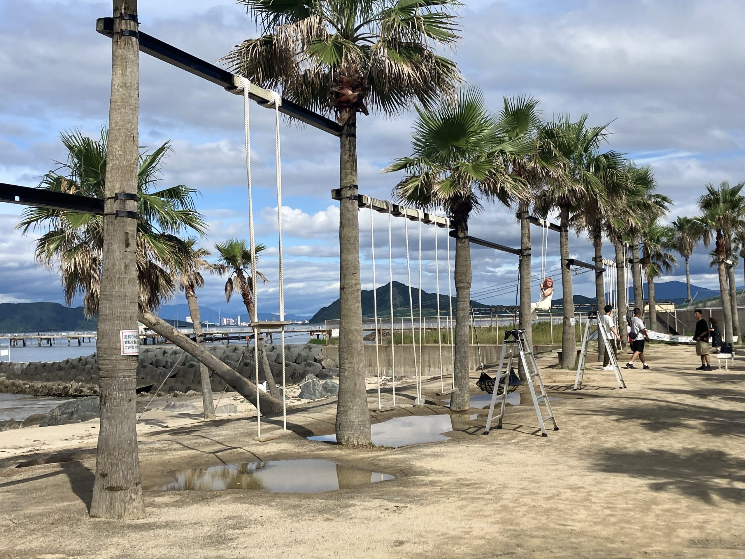 椰子の木ブランコ