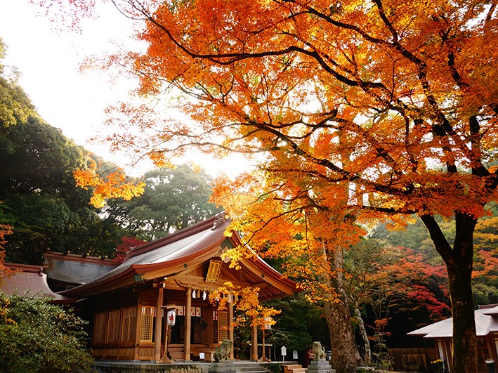 紅葉の竈門神社