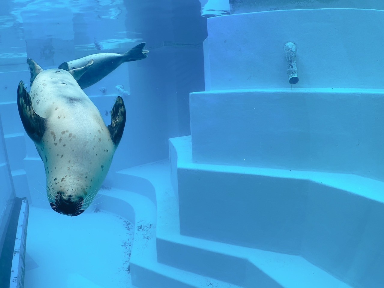 マリンワールド海の中道