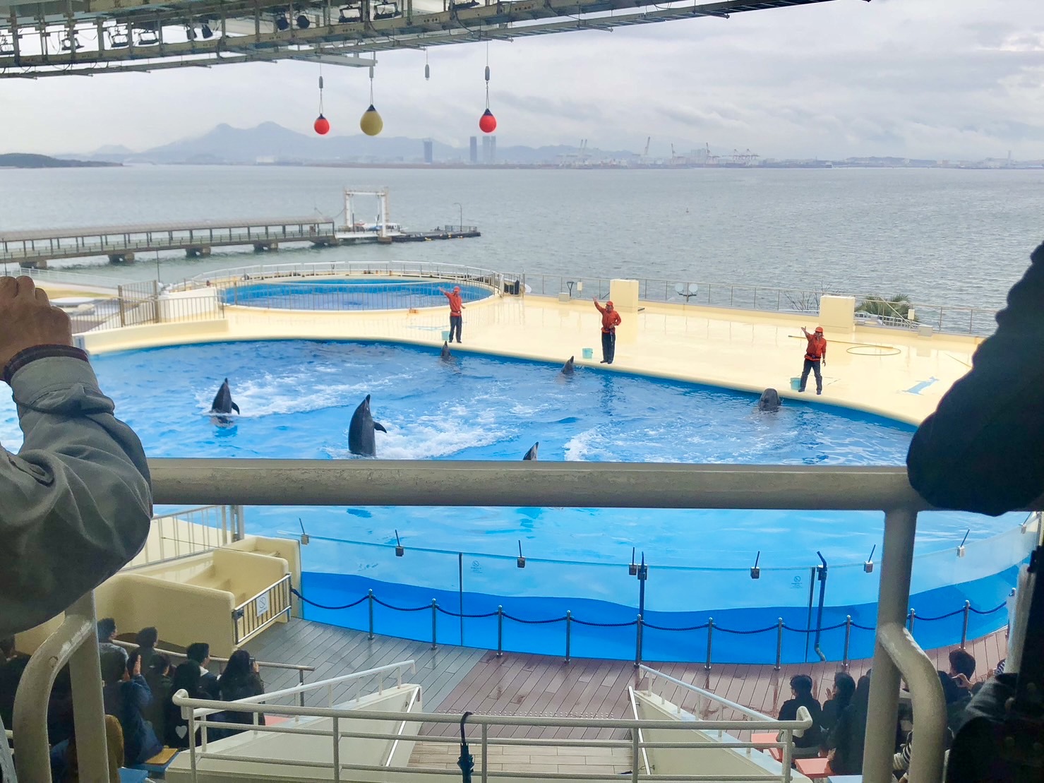 マリンワールド海の中道