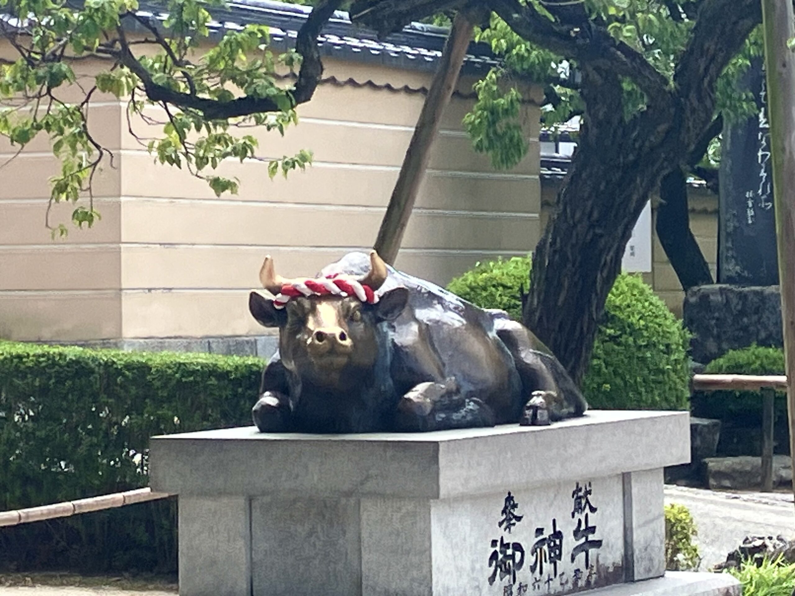 御神牛