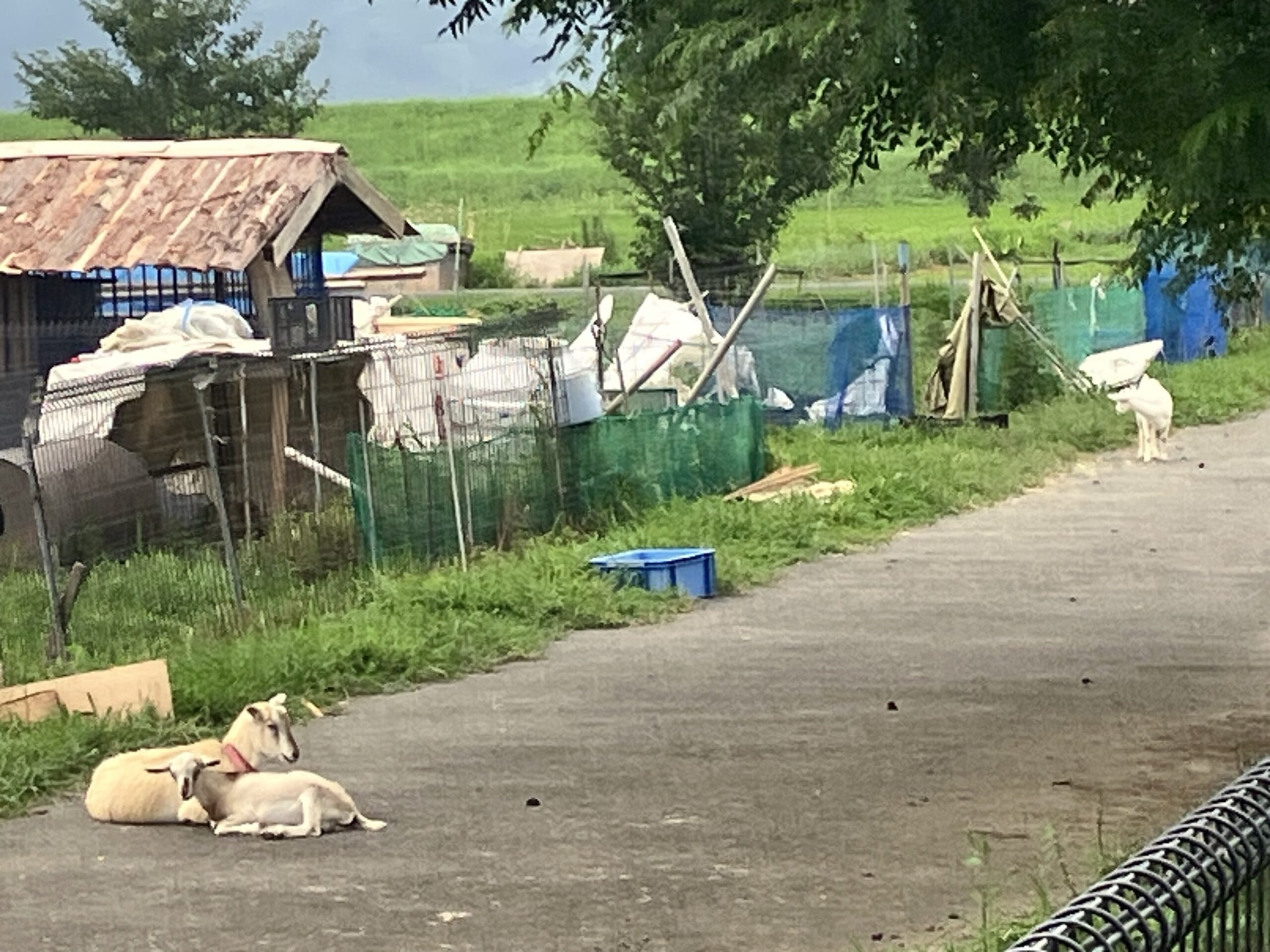 道の駅「三連水車の里 あさくら」