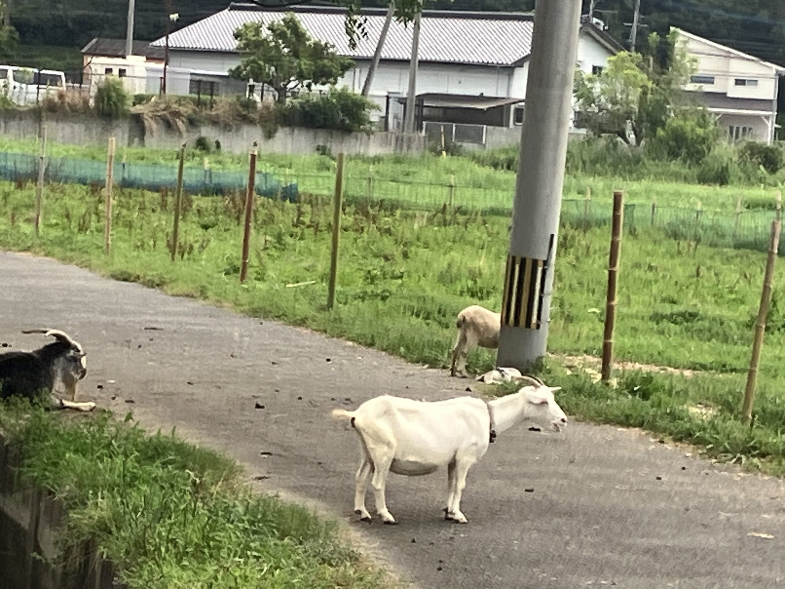 道の駅「三連水車の里 あさくら」
