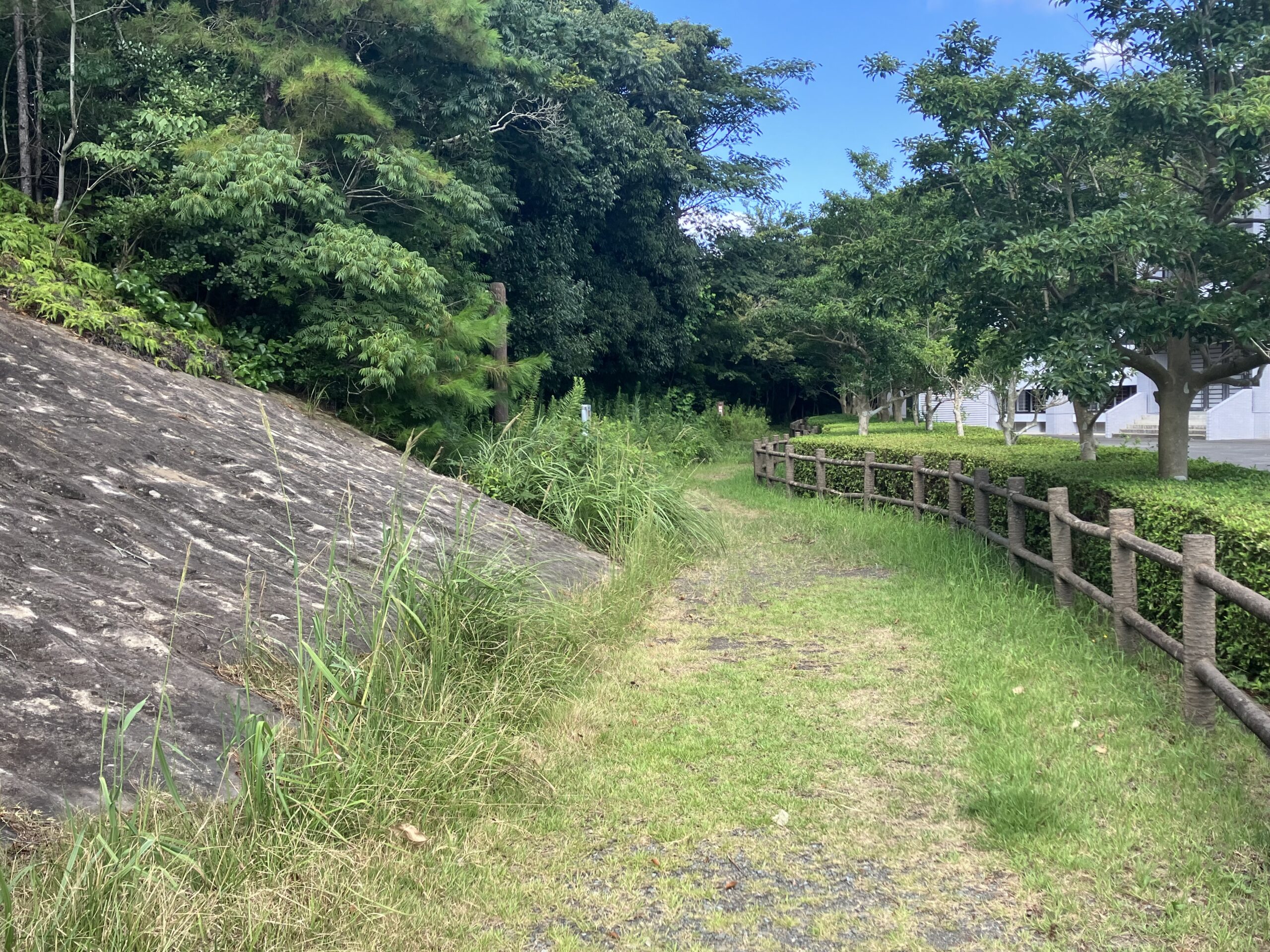 鵜殿石仏群入口