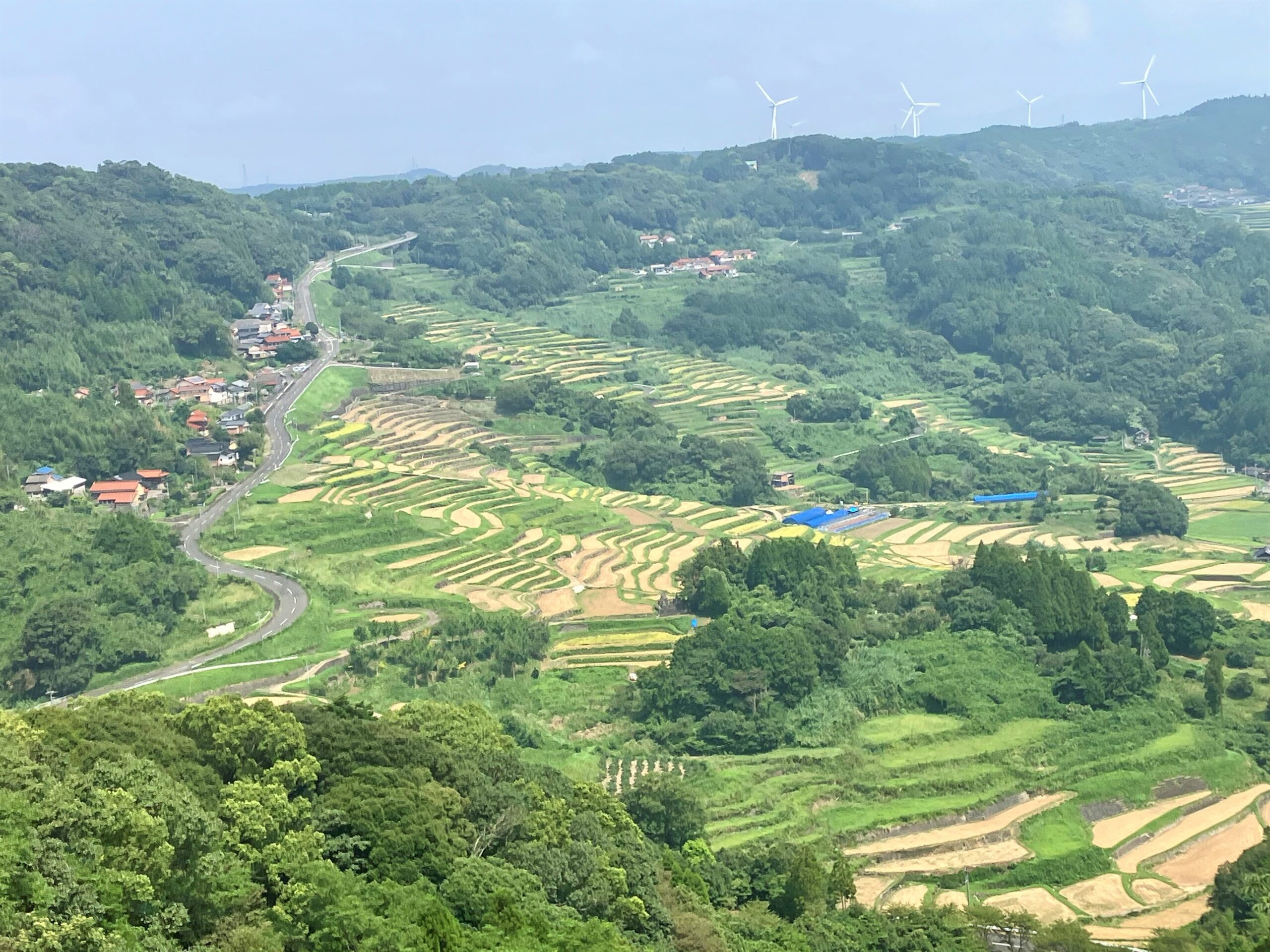 さらに別の場所から