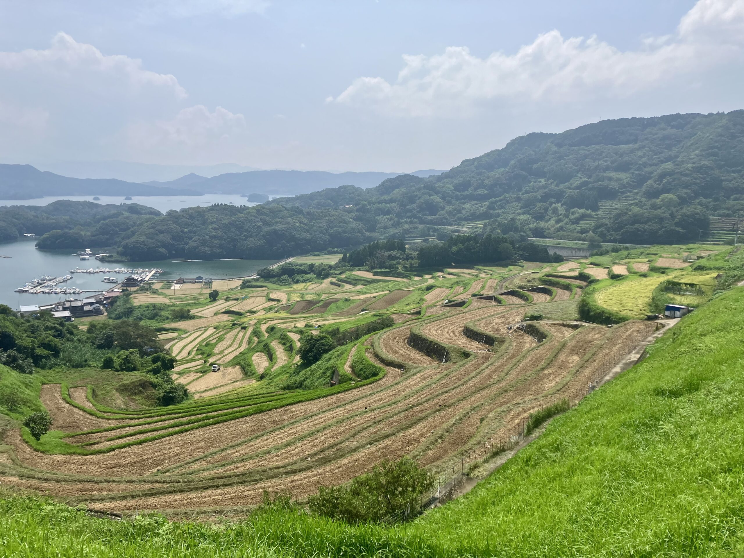 大浦の棚田
