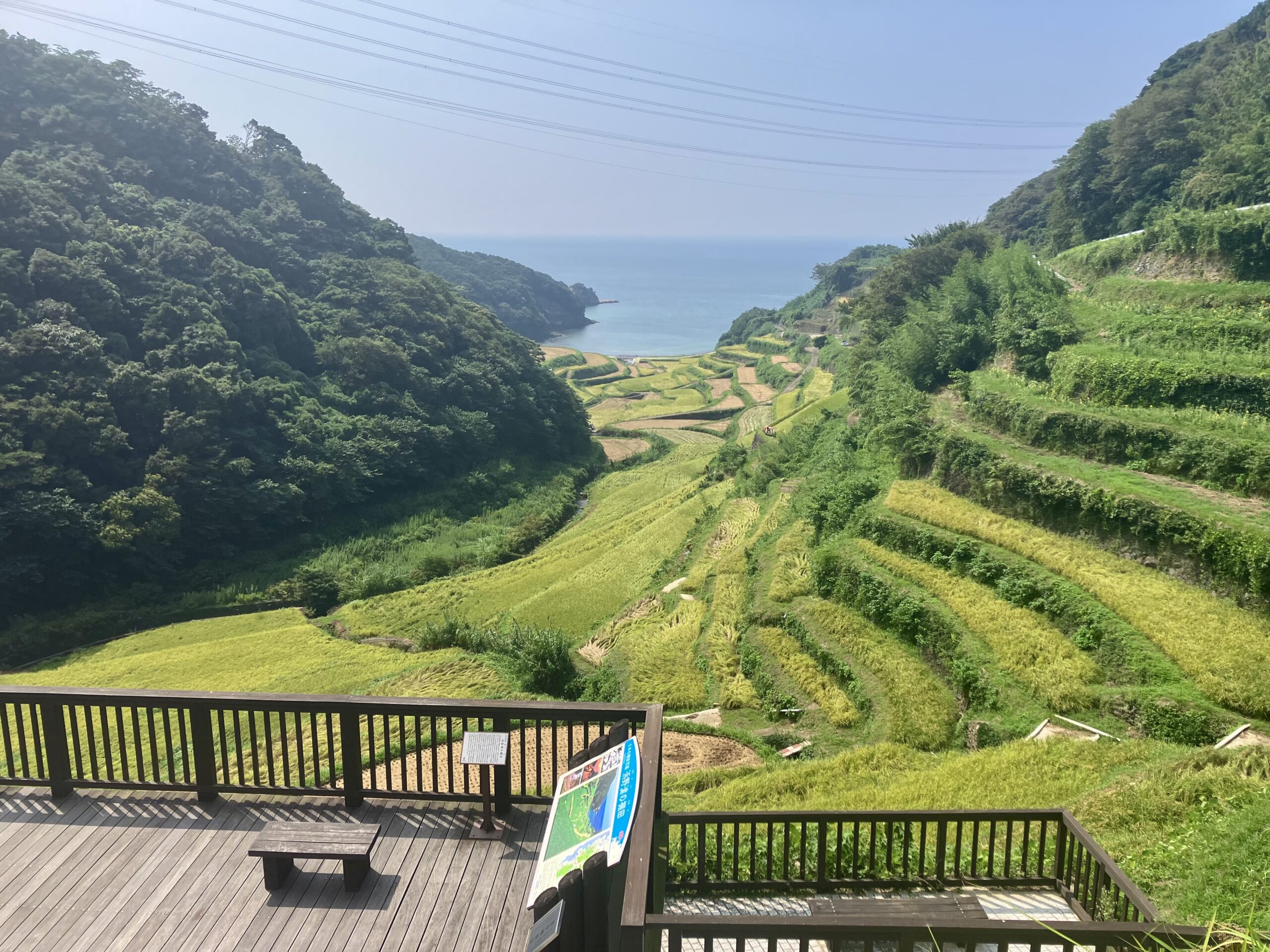 浜野浦の棚田