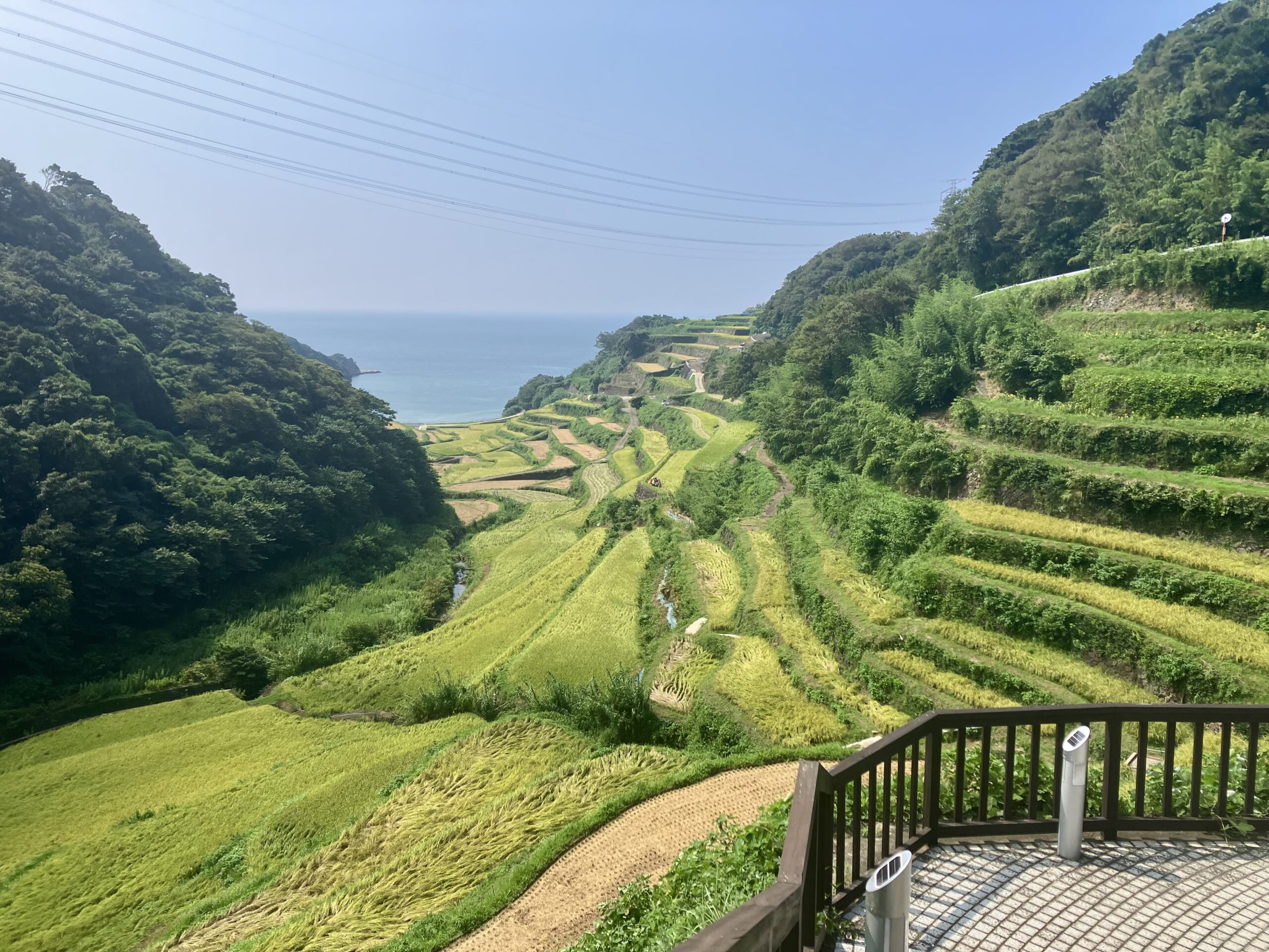 浜野浦の棚田