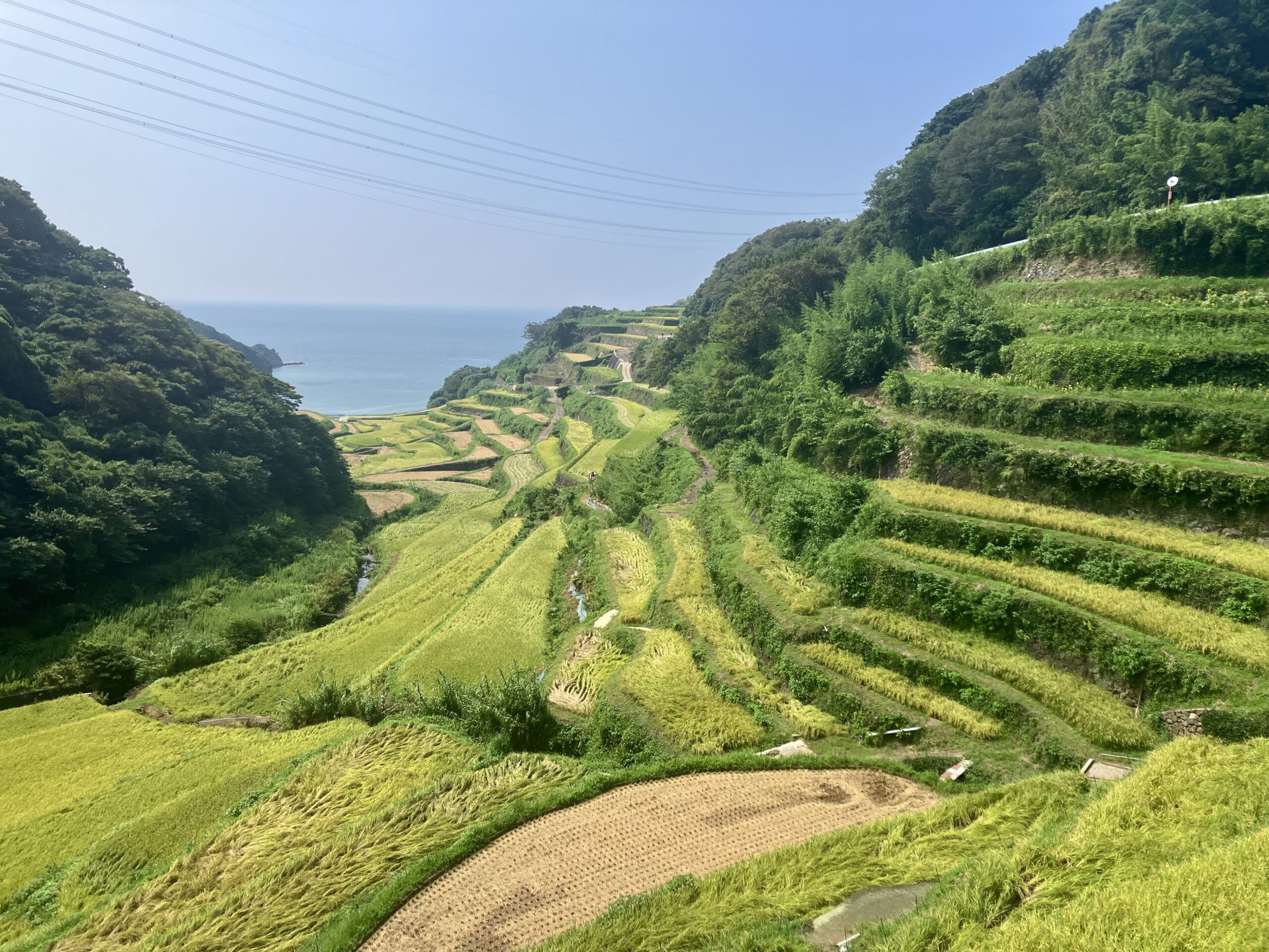 浜野浦の棚田