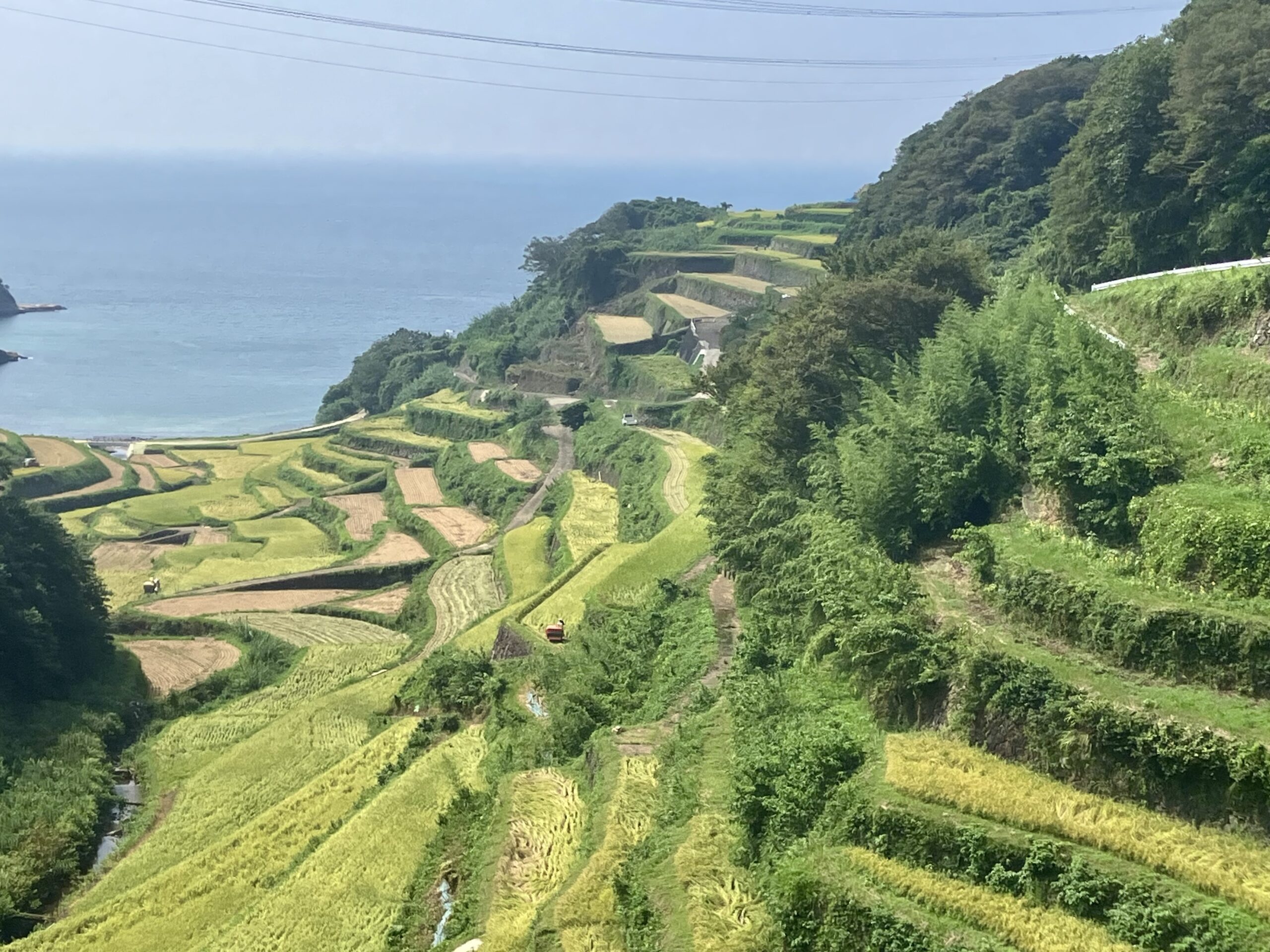 浜野浦の棚田