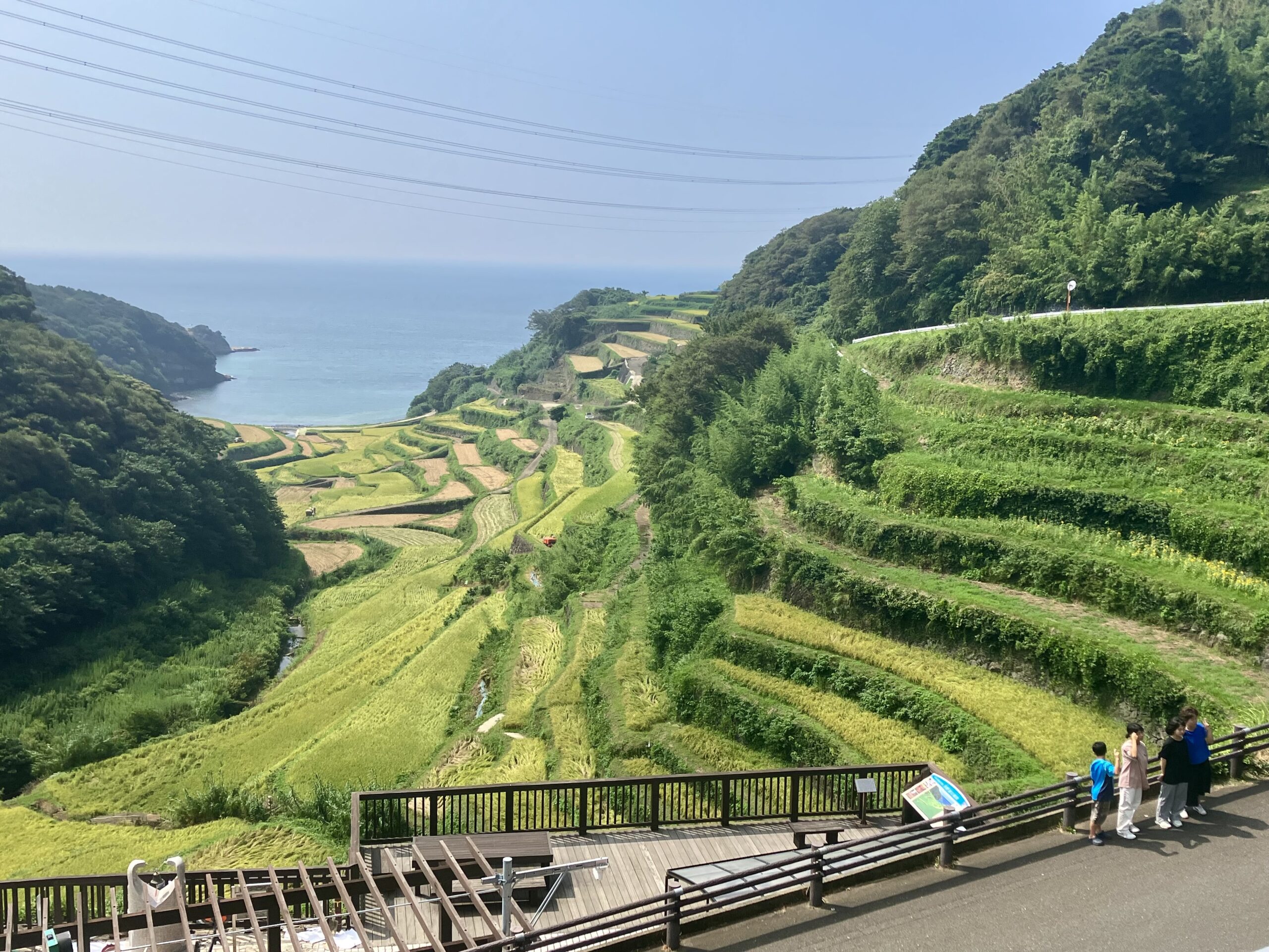 浜野浦の棚田