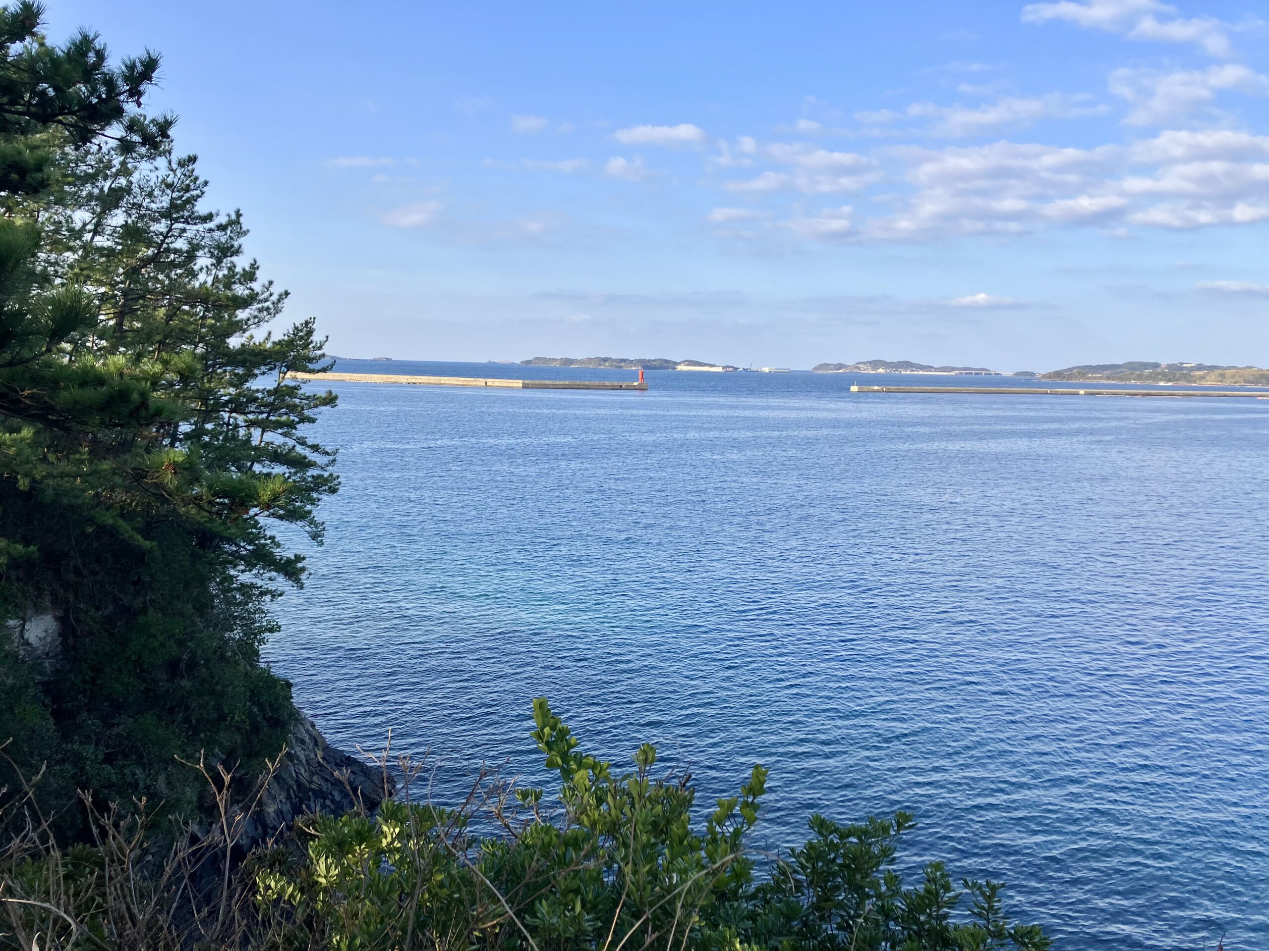 春一番の塔横から