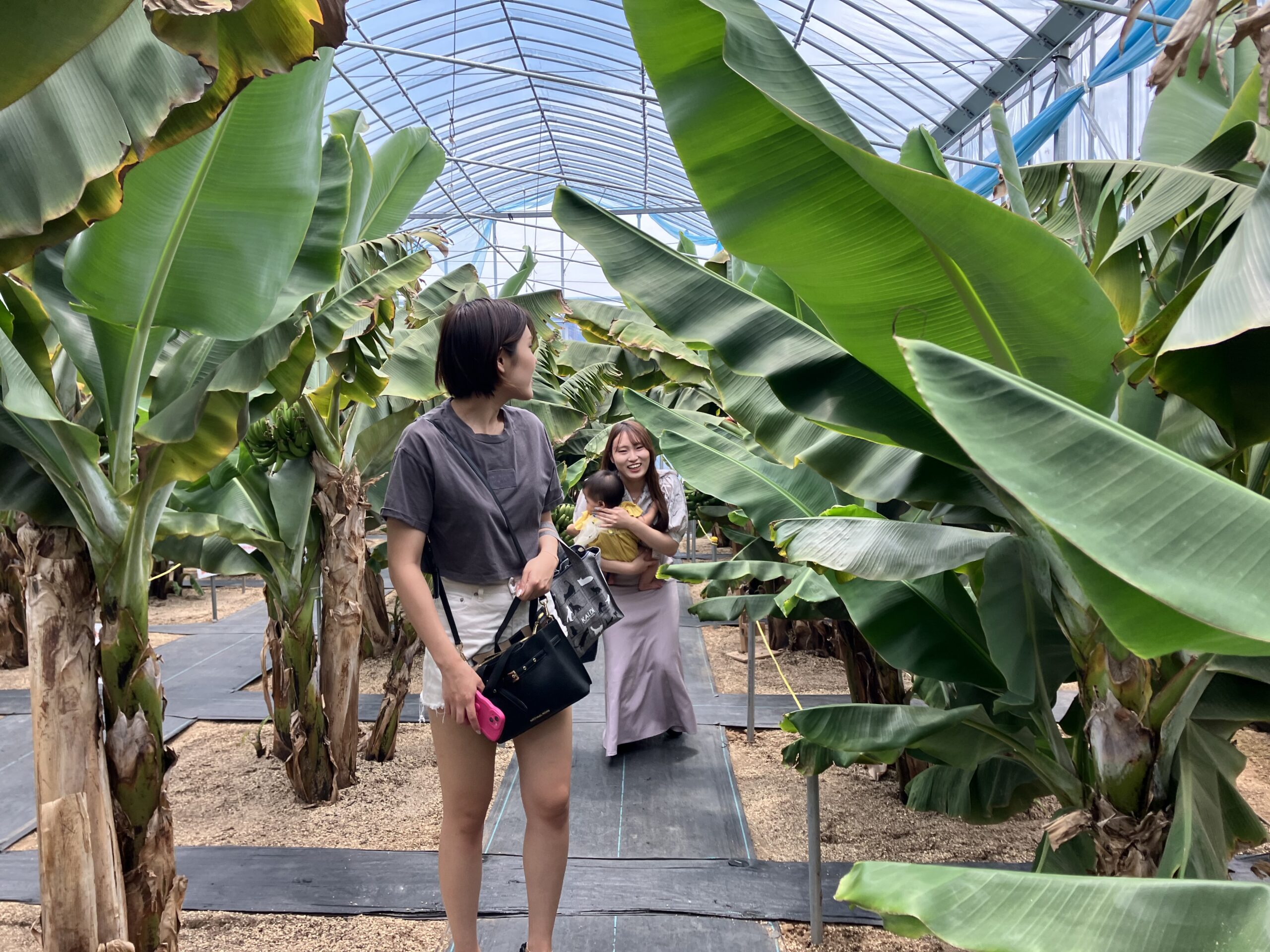 バナナ園コスモファーム