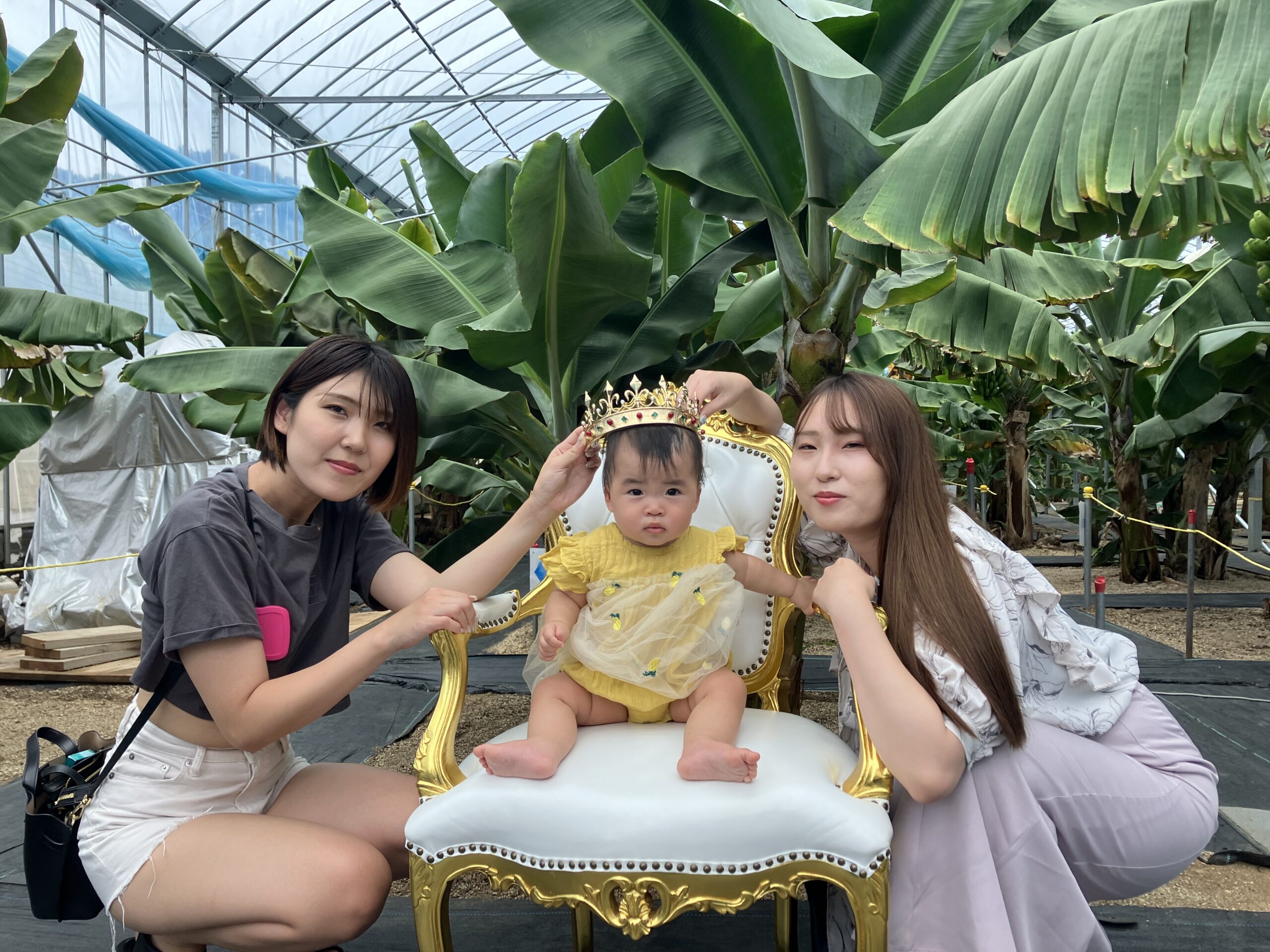 バナナファーム壱岐