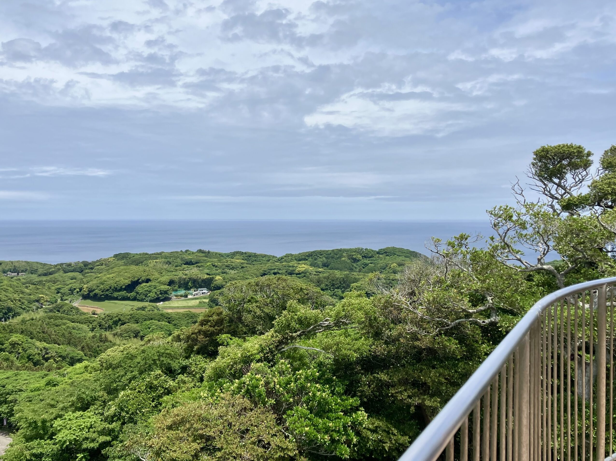 展望台からの絶景