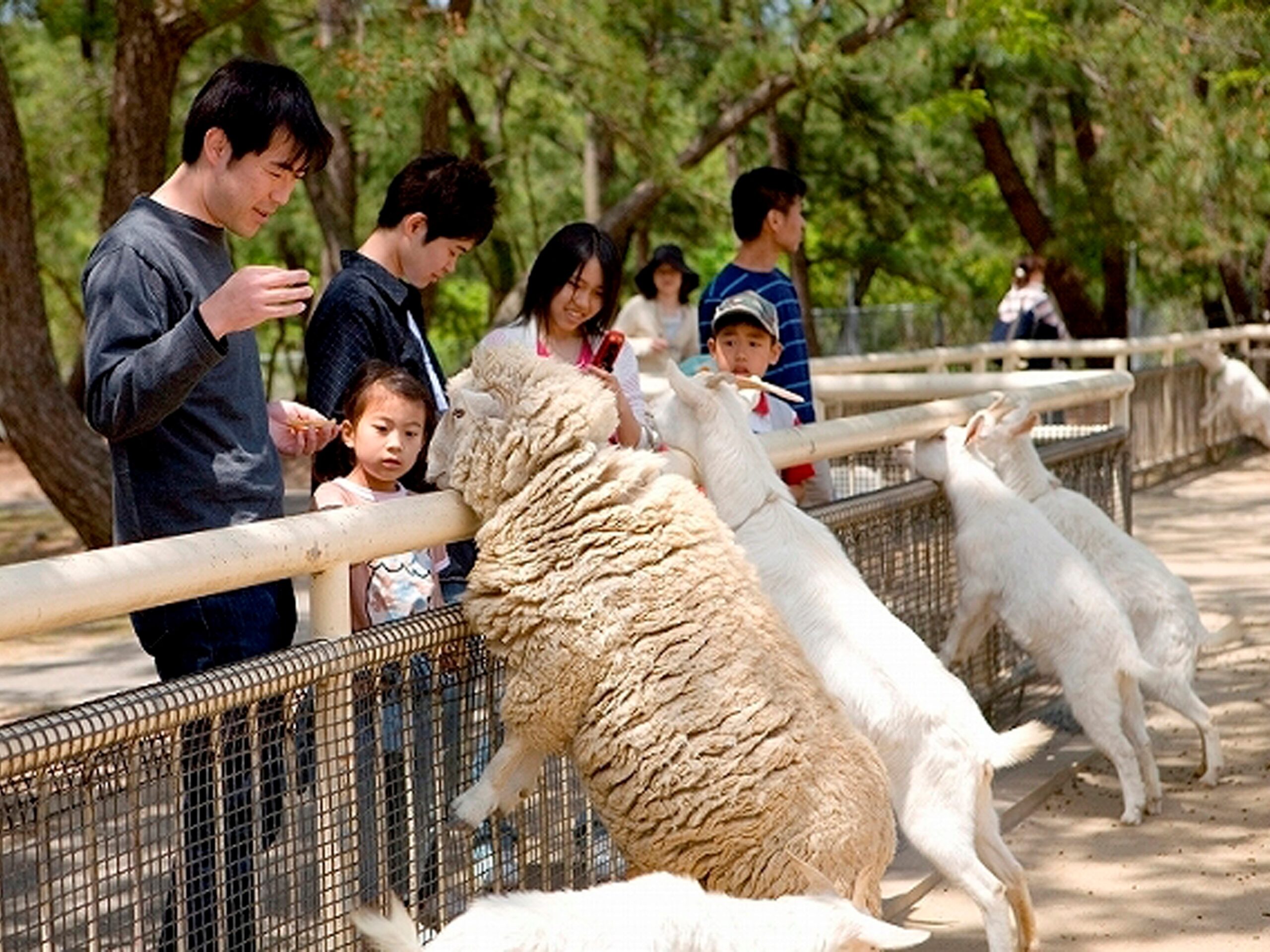 海の中道海浜公園海の中道海浜公園