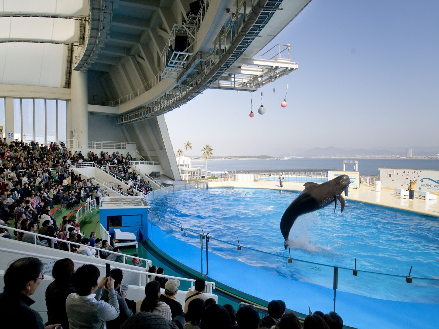 志賀島＆マリンワールド＆海鮮ランチ・貸切ハイヤー利用