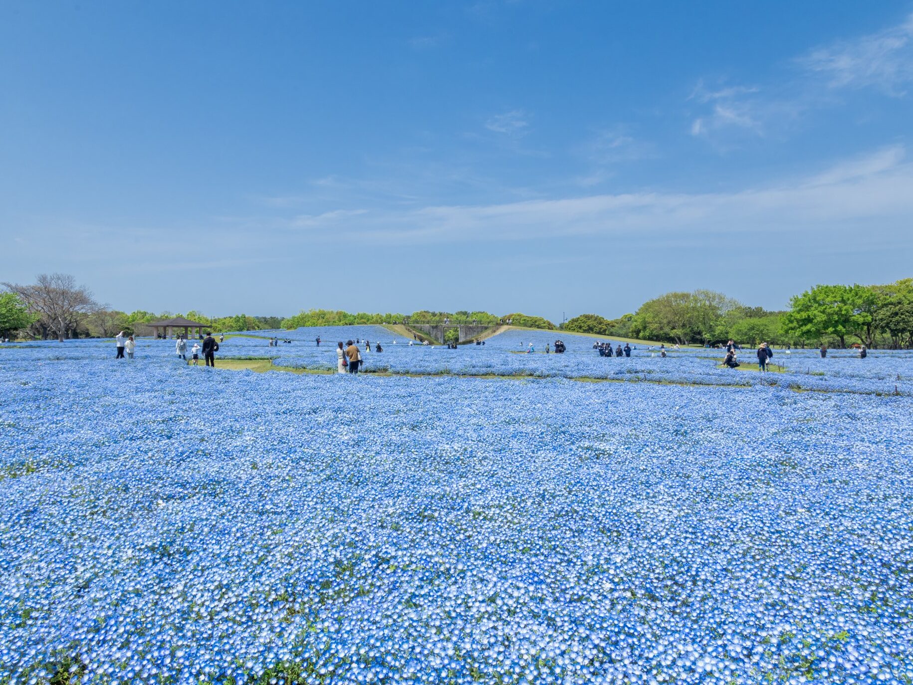 海の中道海浜公園