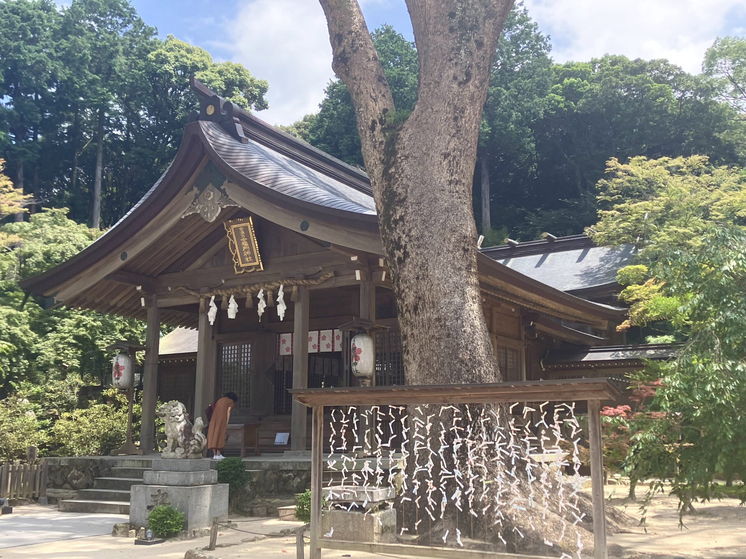 宝満竈門神社拝殿