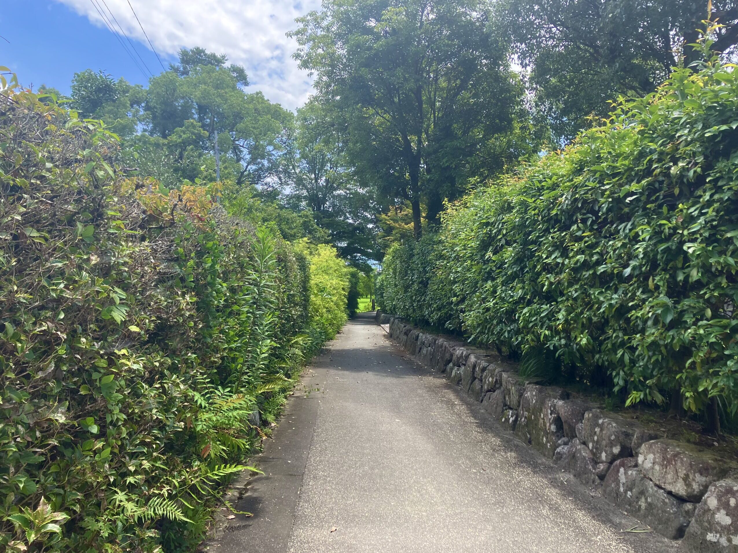 観世音寺と戒壇院の間の素敵な小径