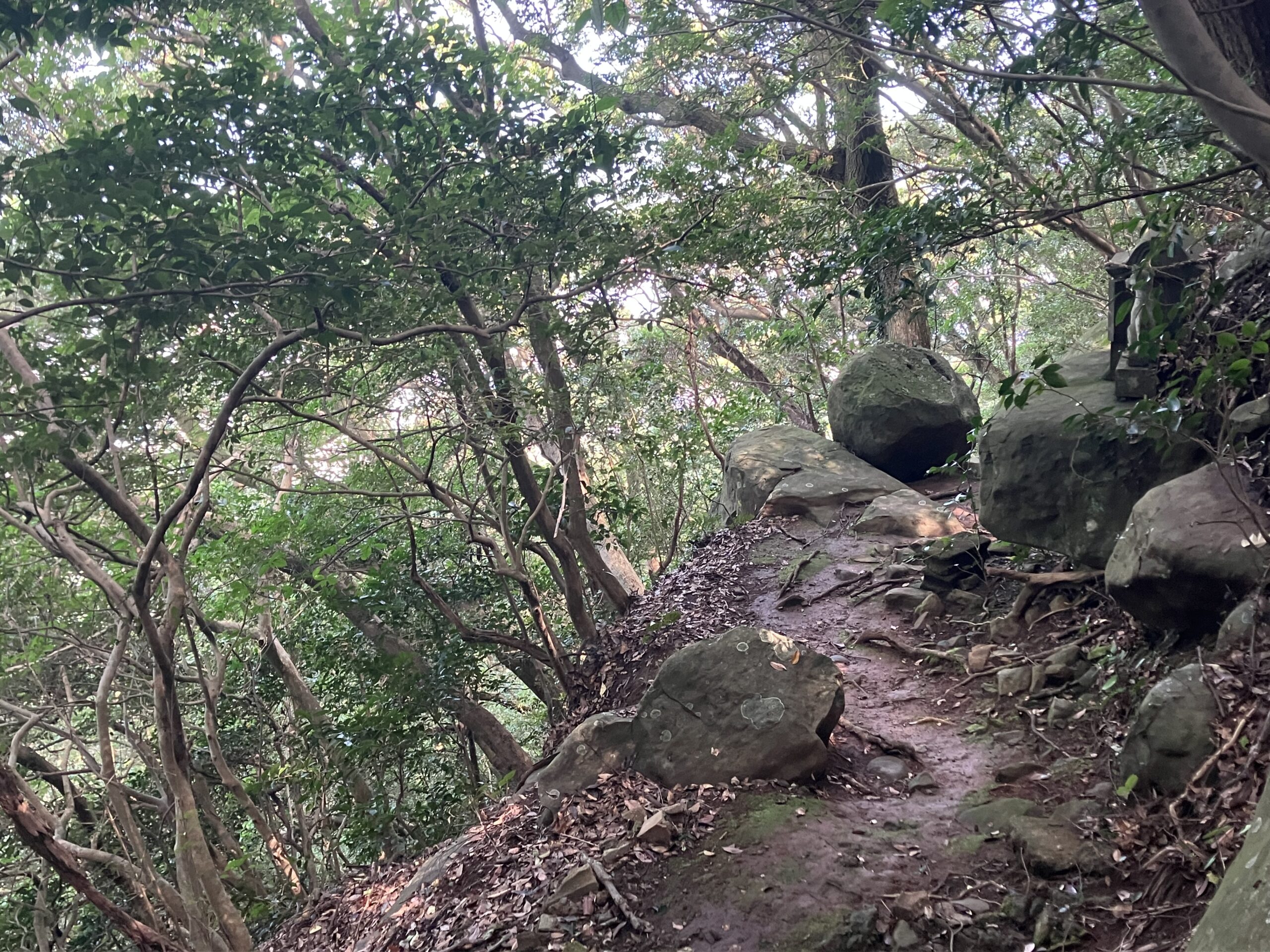 荒熊神社横の断崖