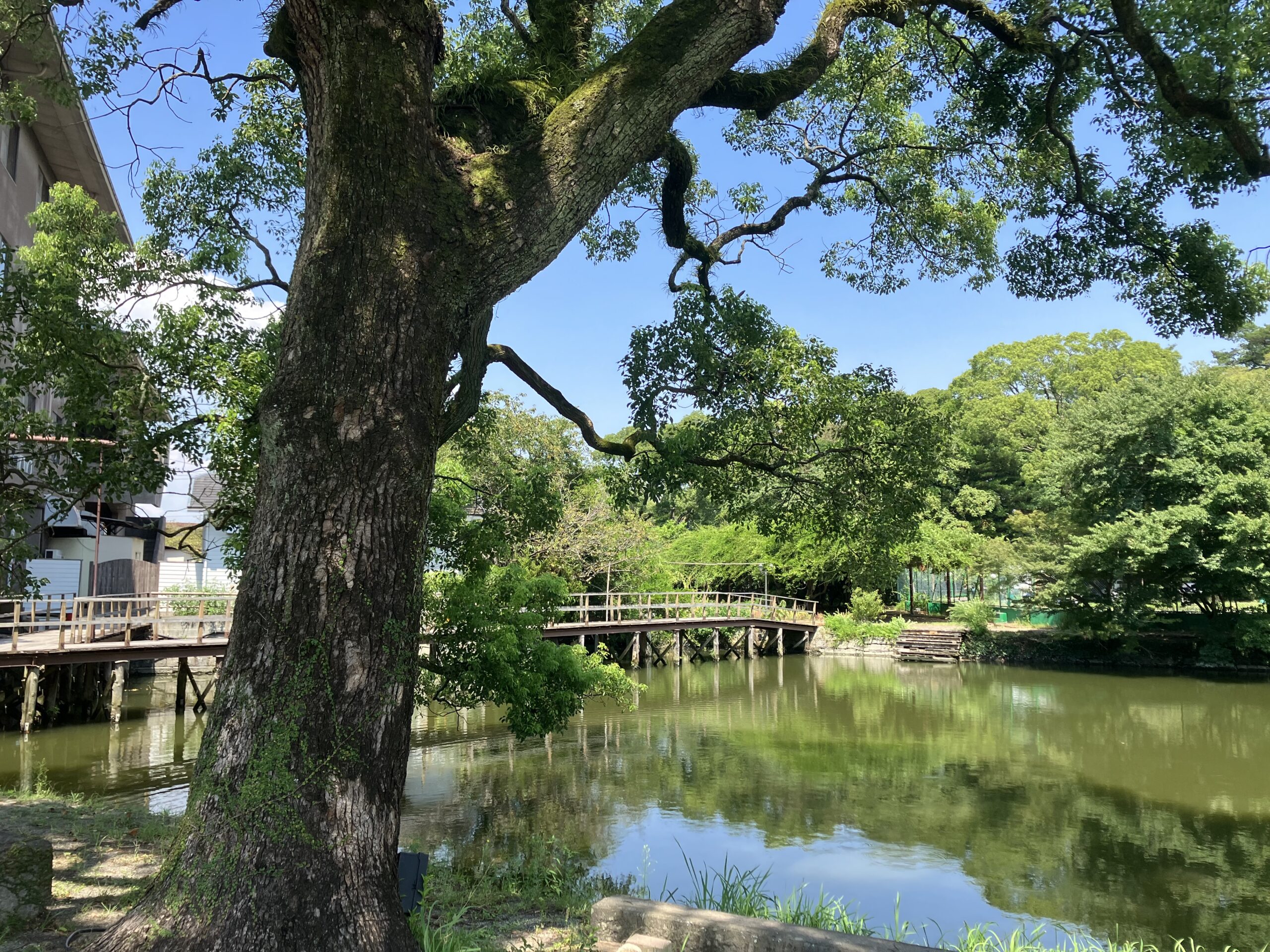 東庭園