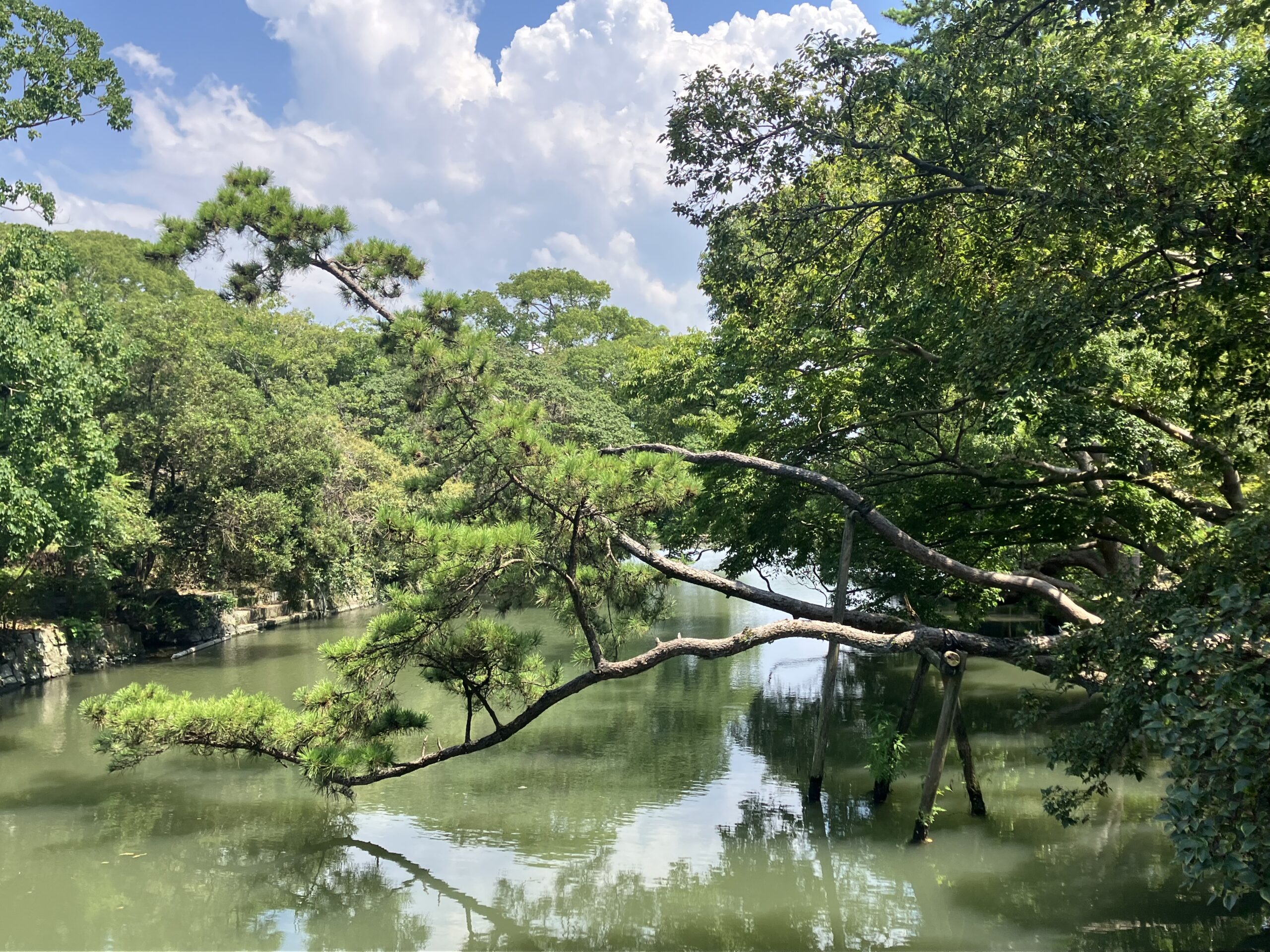 東庭園