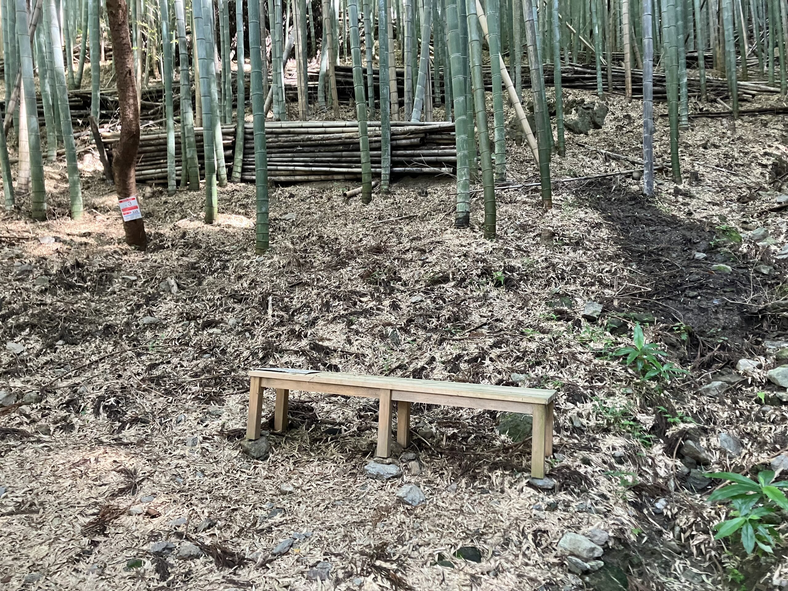 コース途中のベンチ