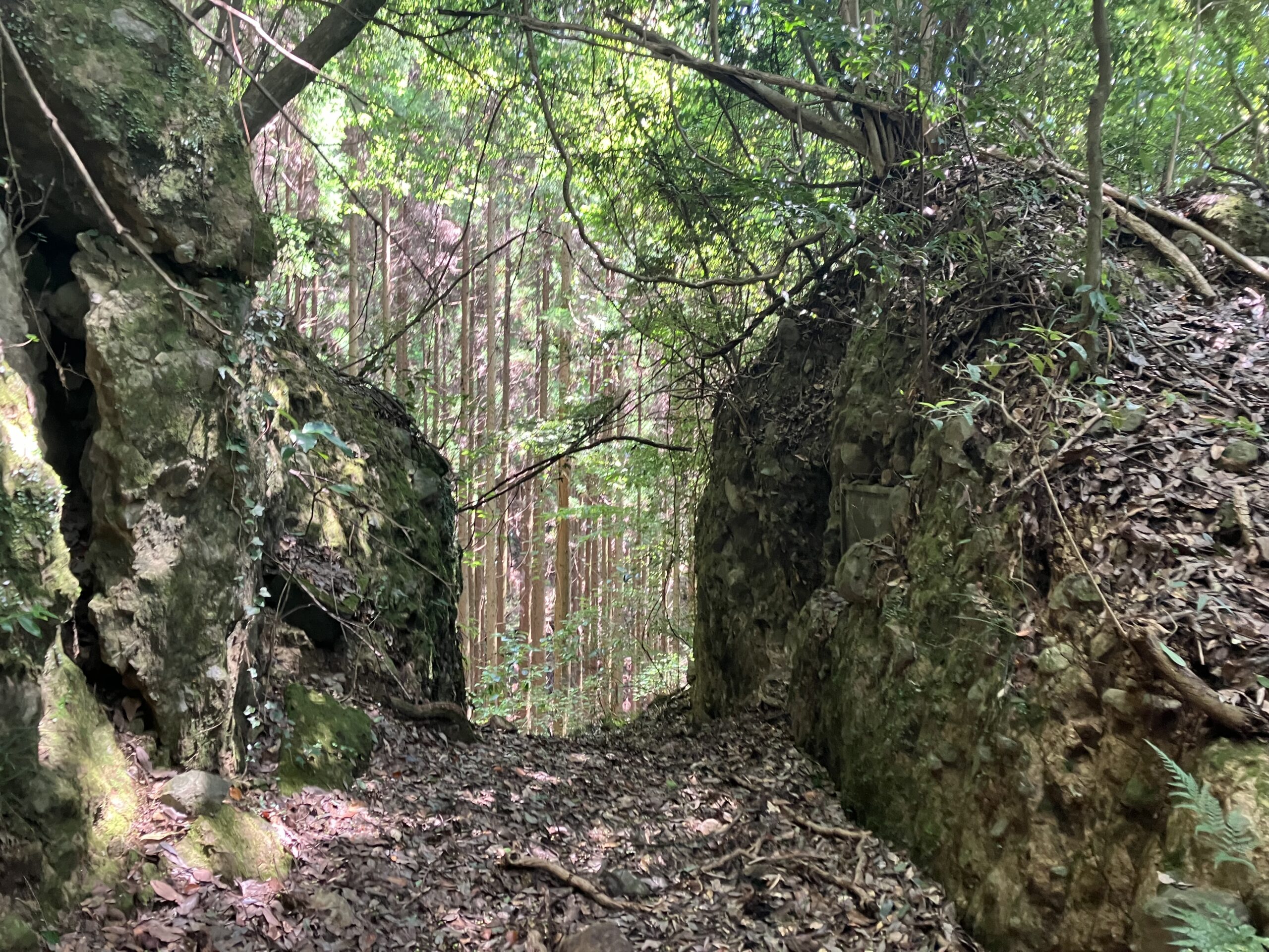 周辺の奇岩見学