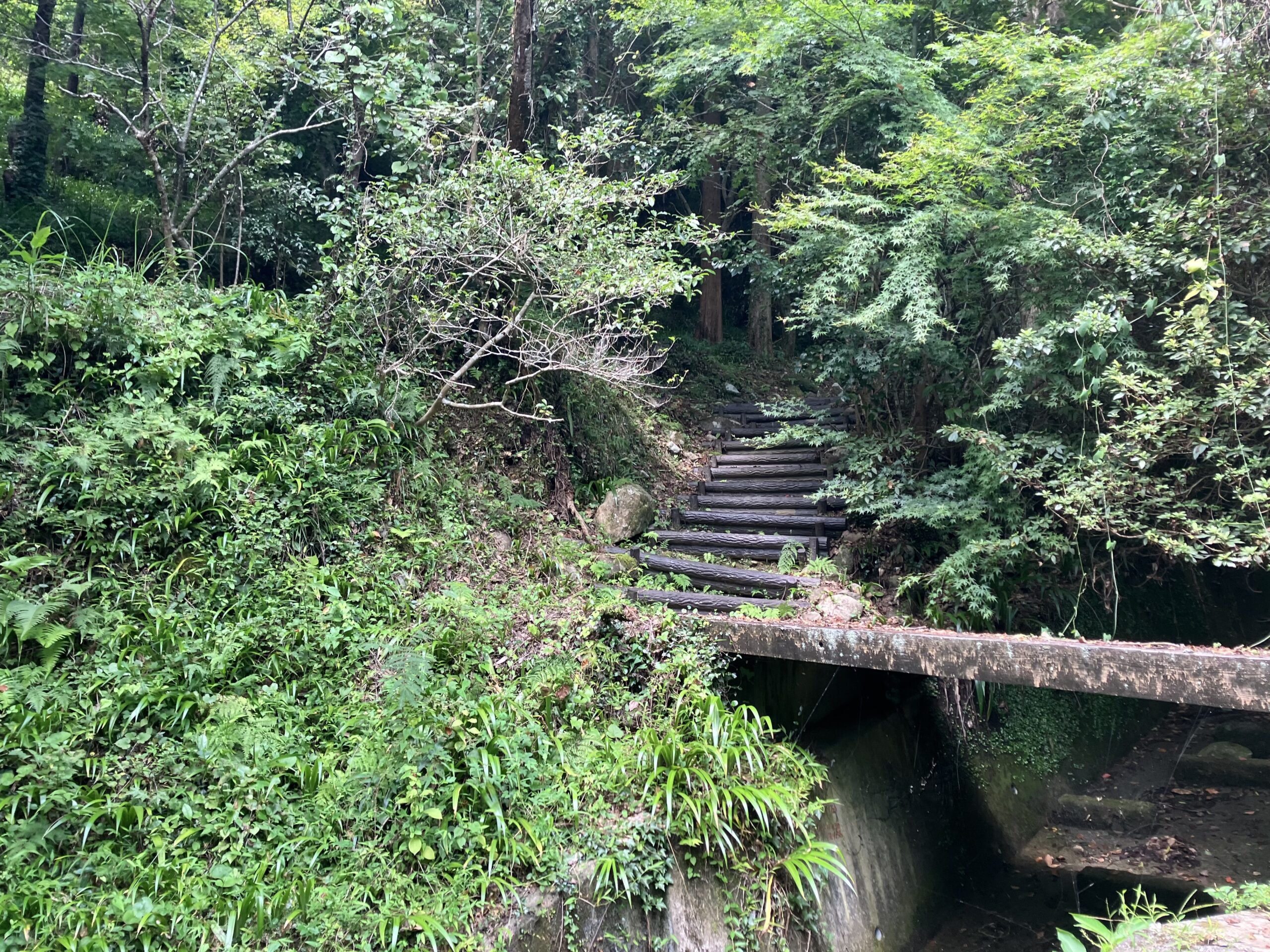 座禅岩への山道