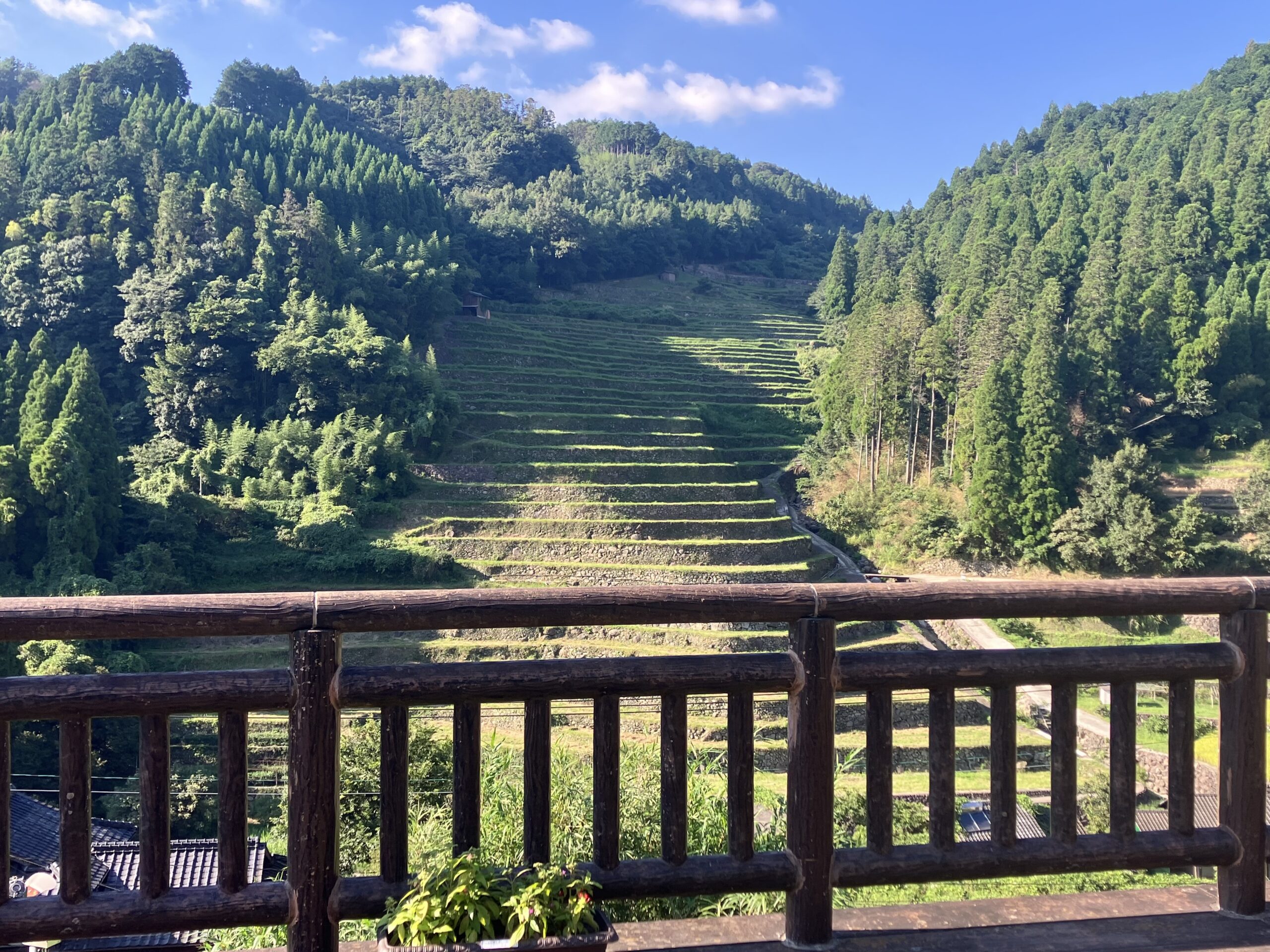 広内・上原の棚田