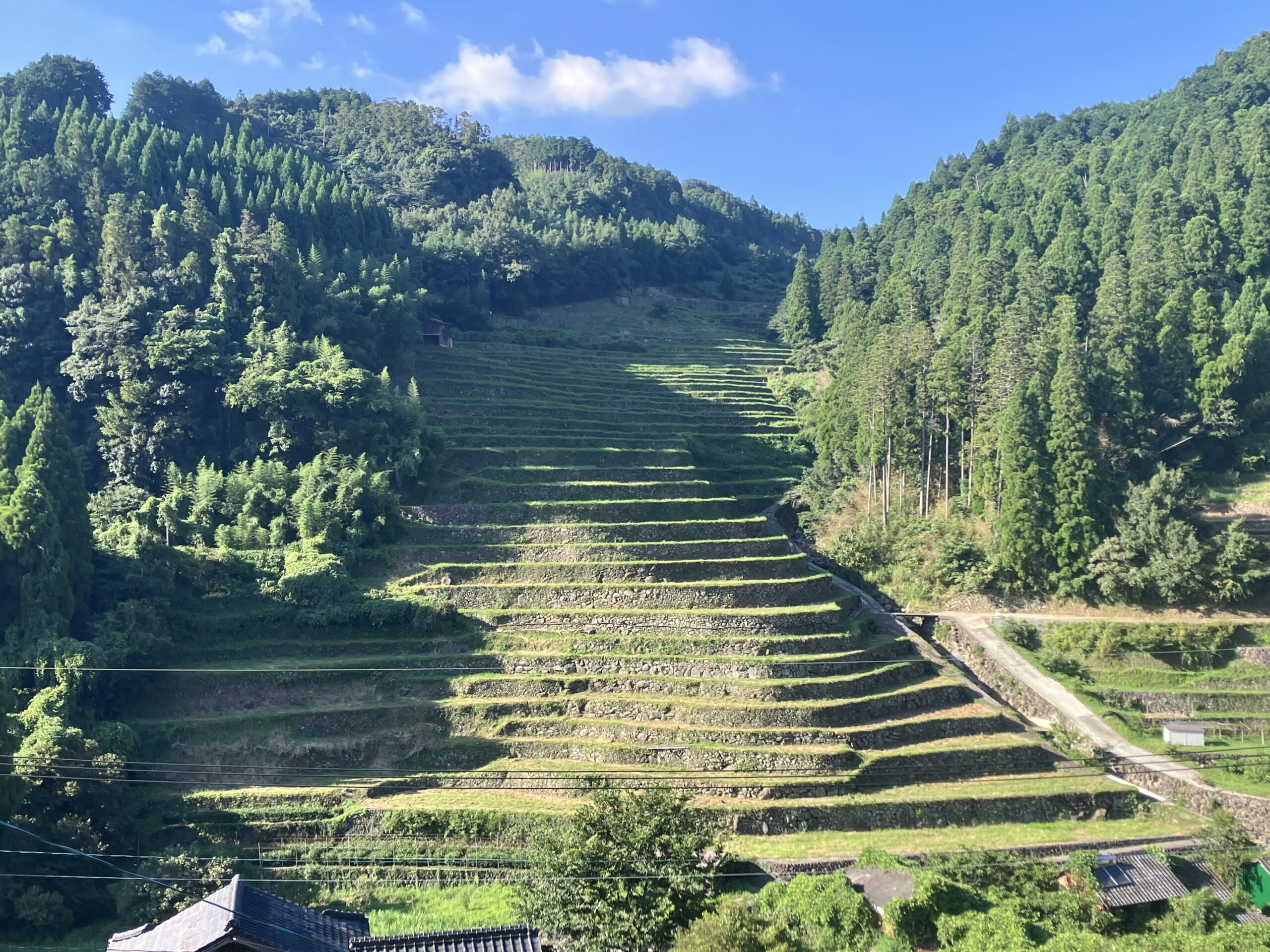 広内・上原の棚田