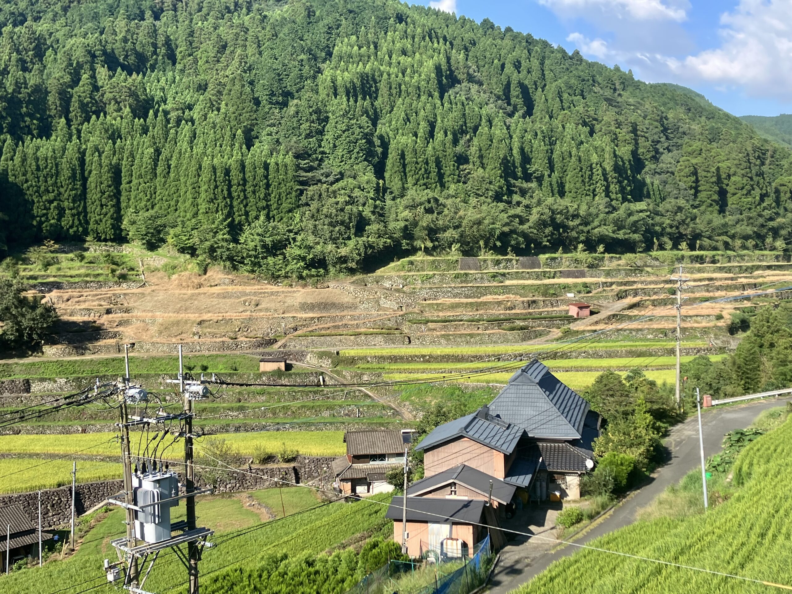 広内・上原の棚田