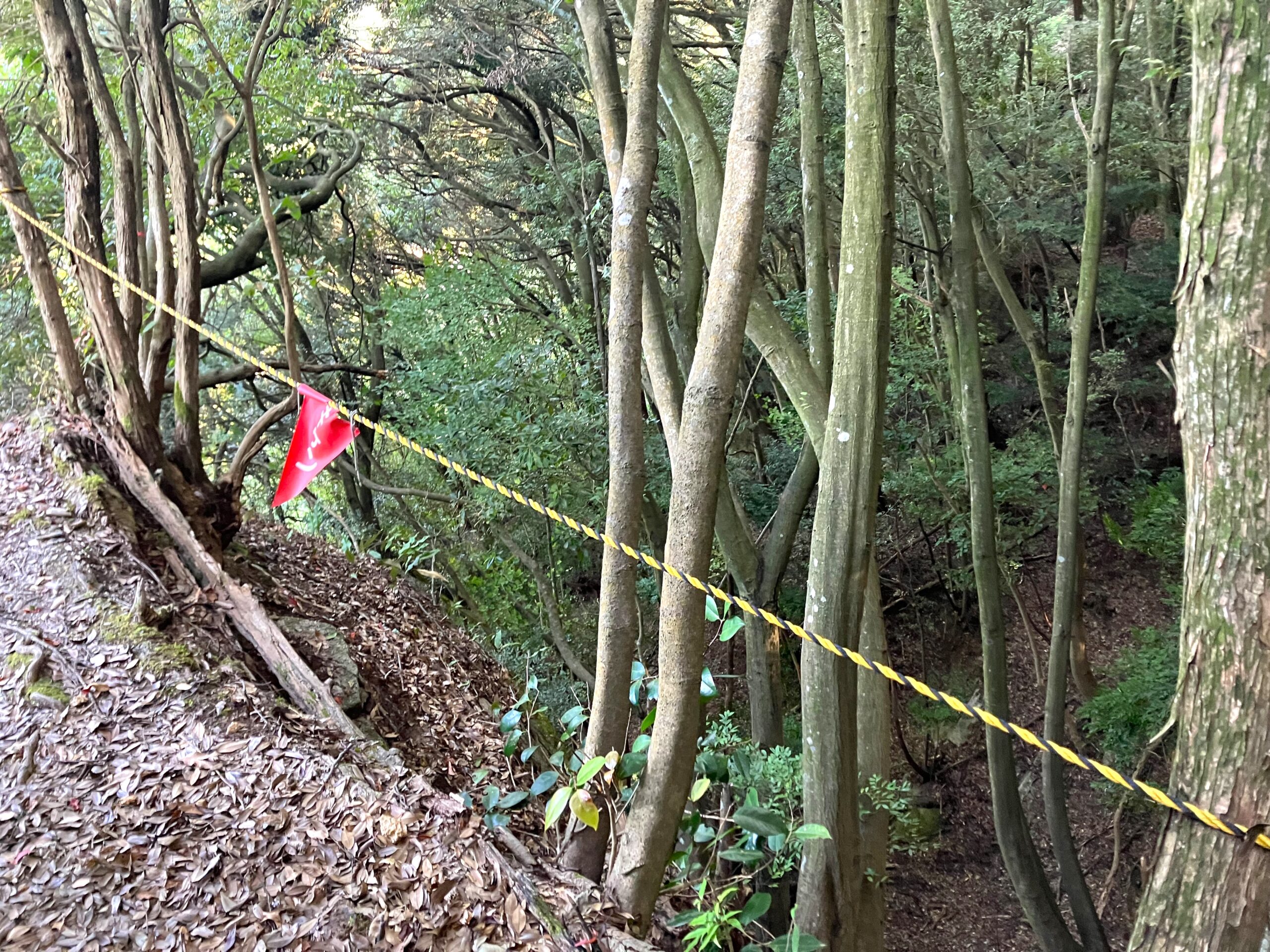 崖沿いの登山道