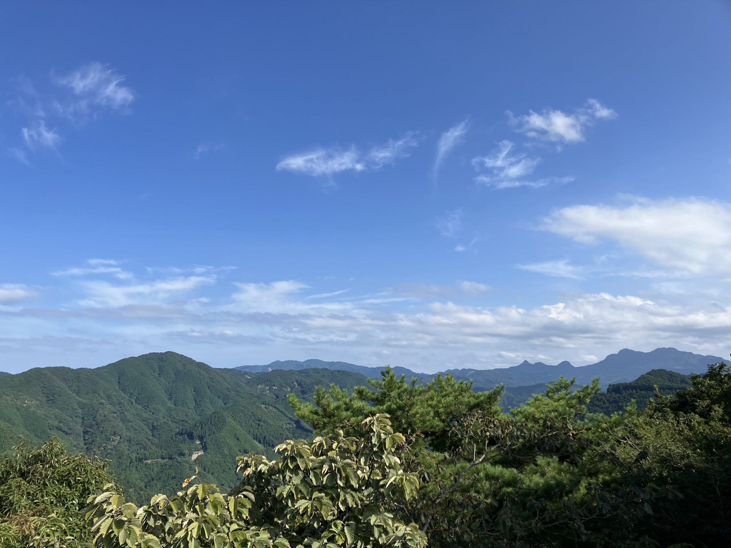 八畳岩からの眺望