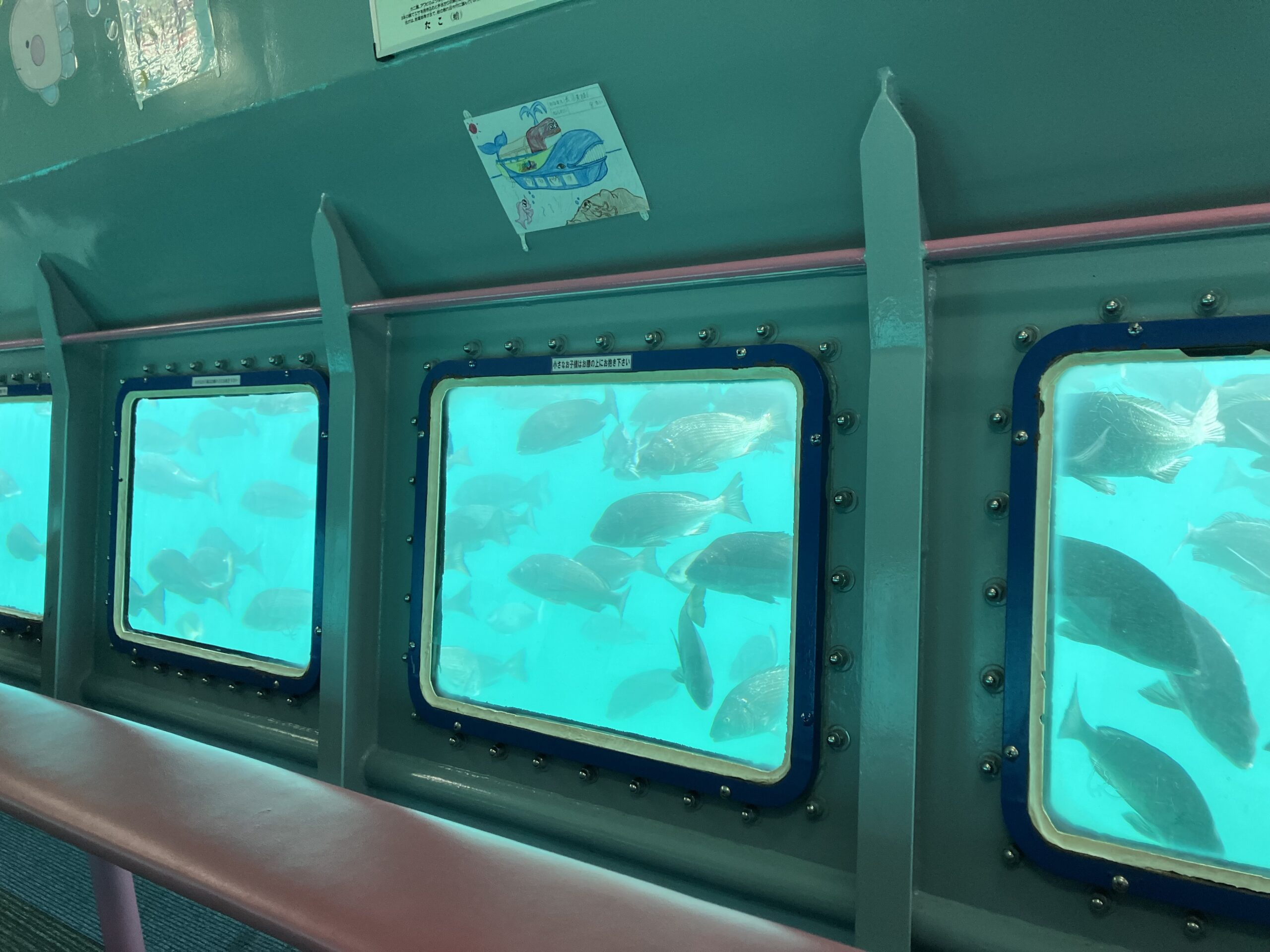 クジラのジーラ