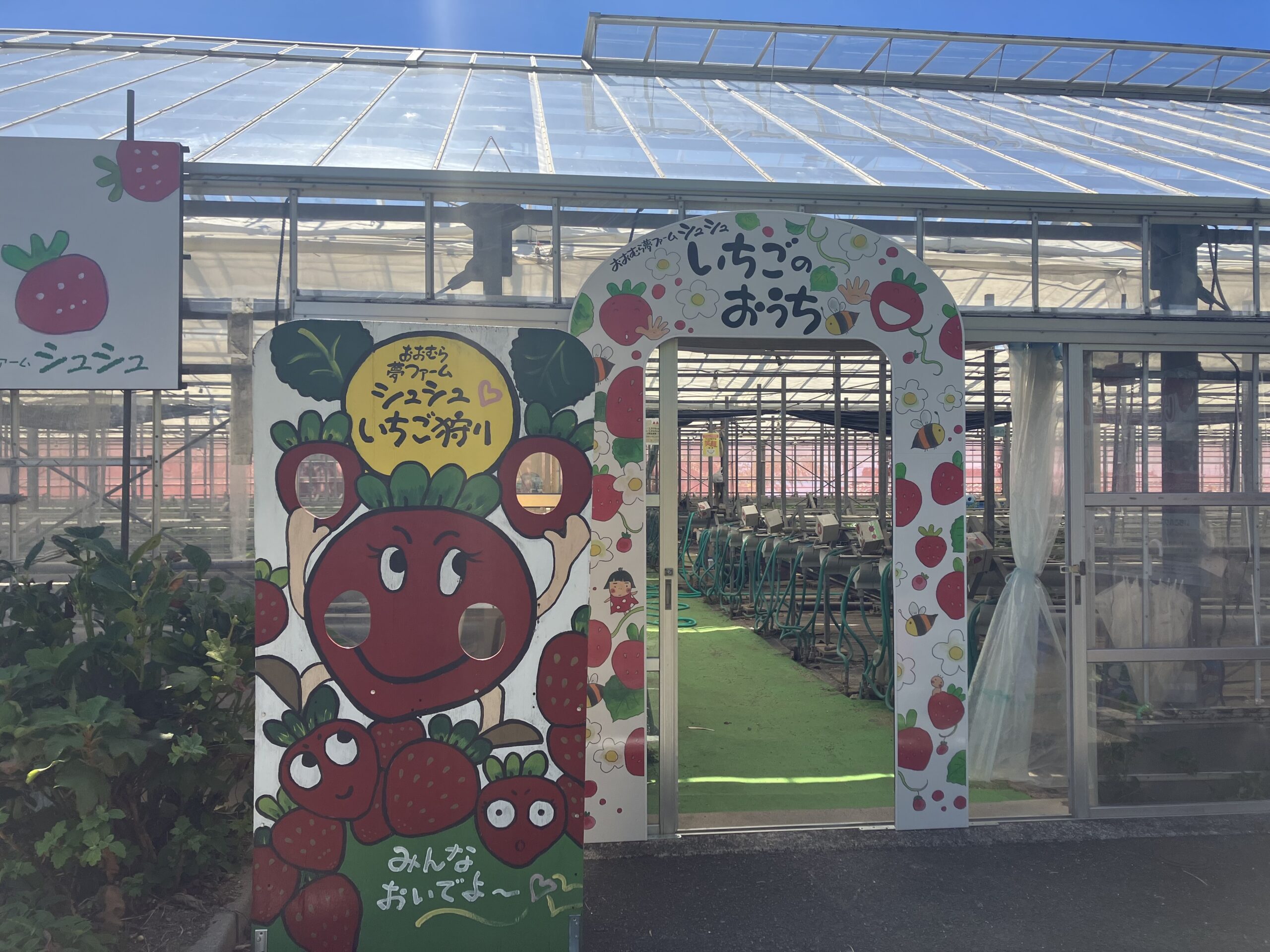 夢ファーム シュシュ