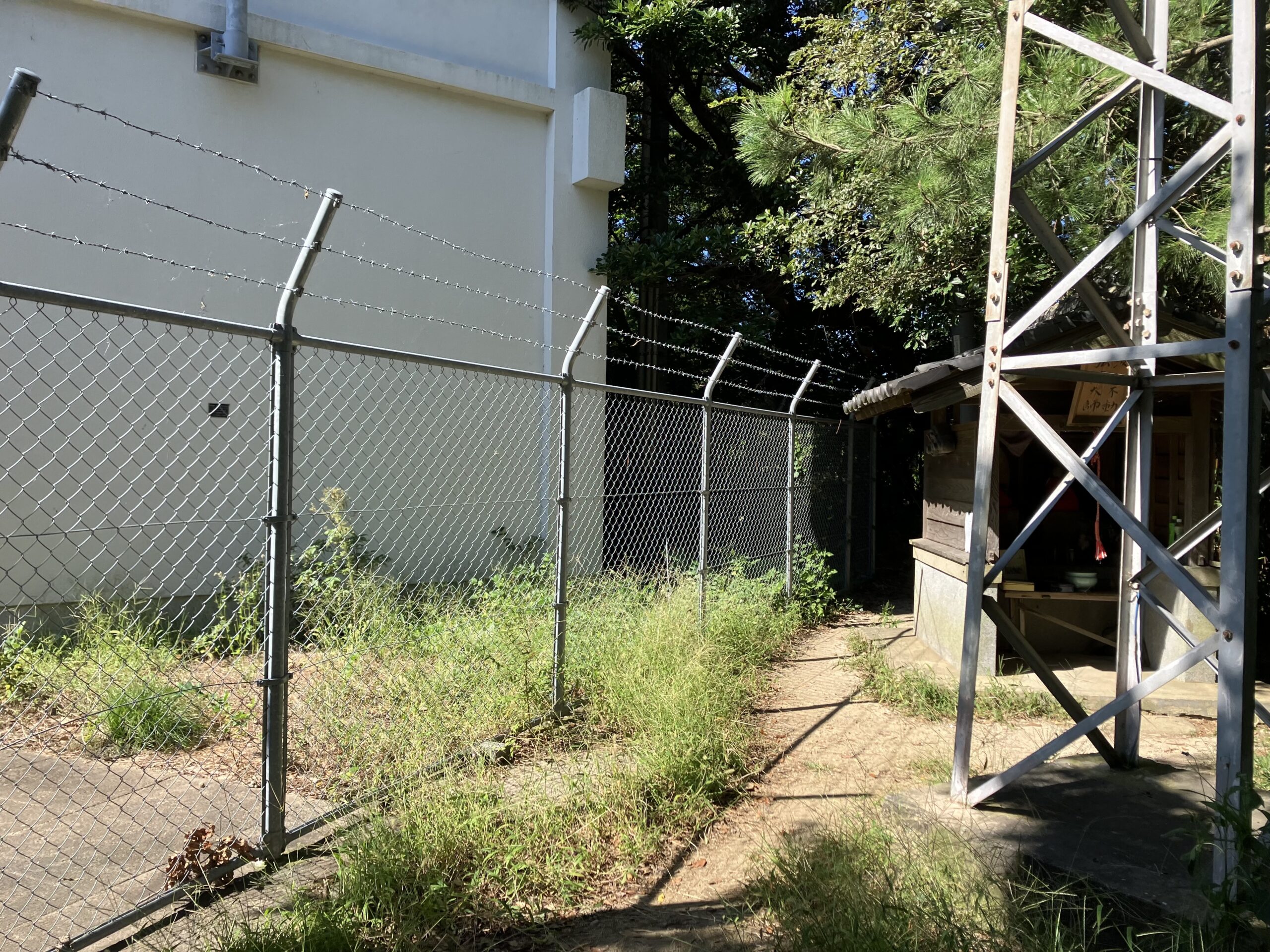 火山パラグライダー発進基地