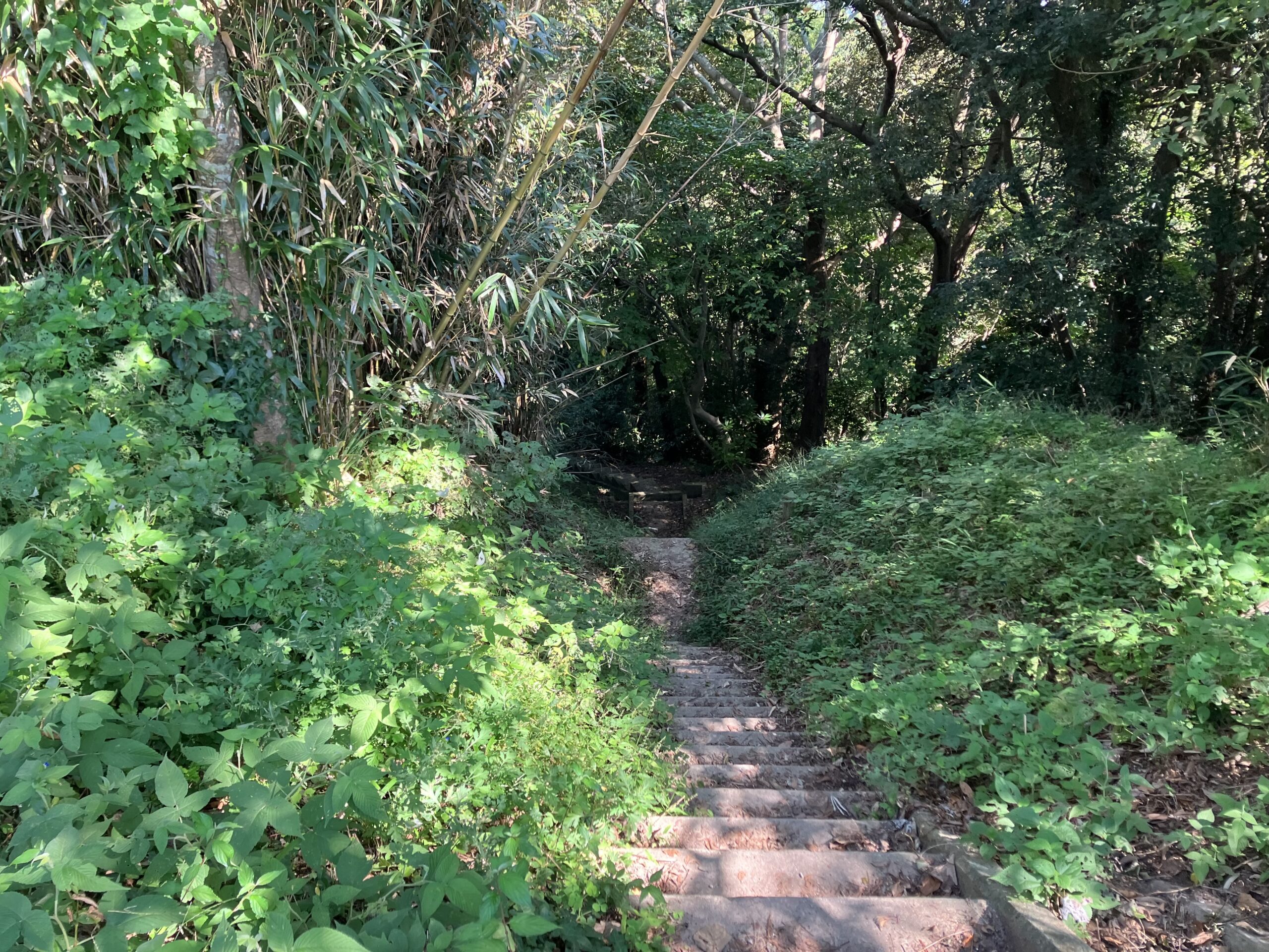 火山パラグライダー発進基地