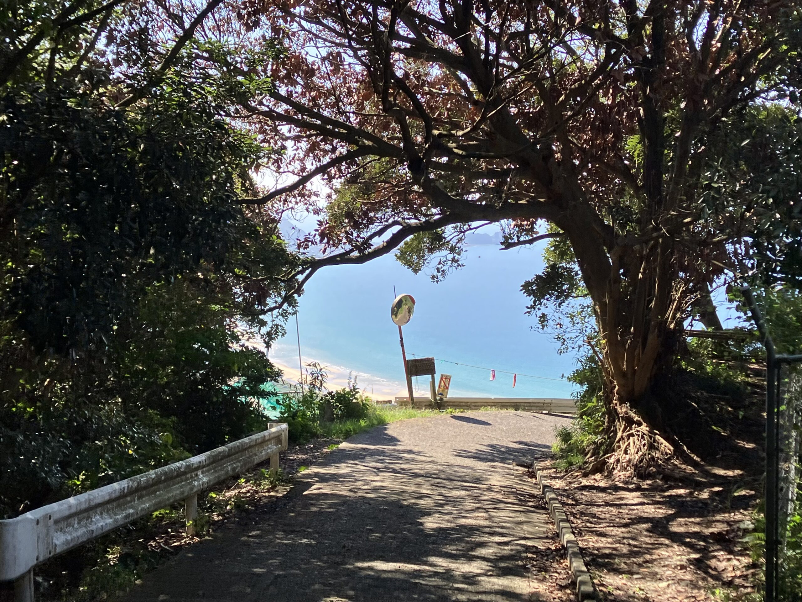 火山パラグライダー発進基地